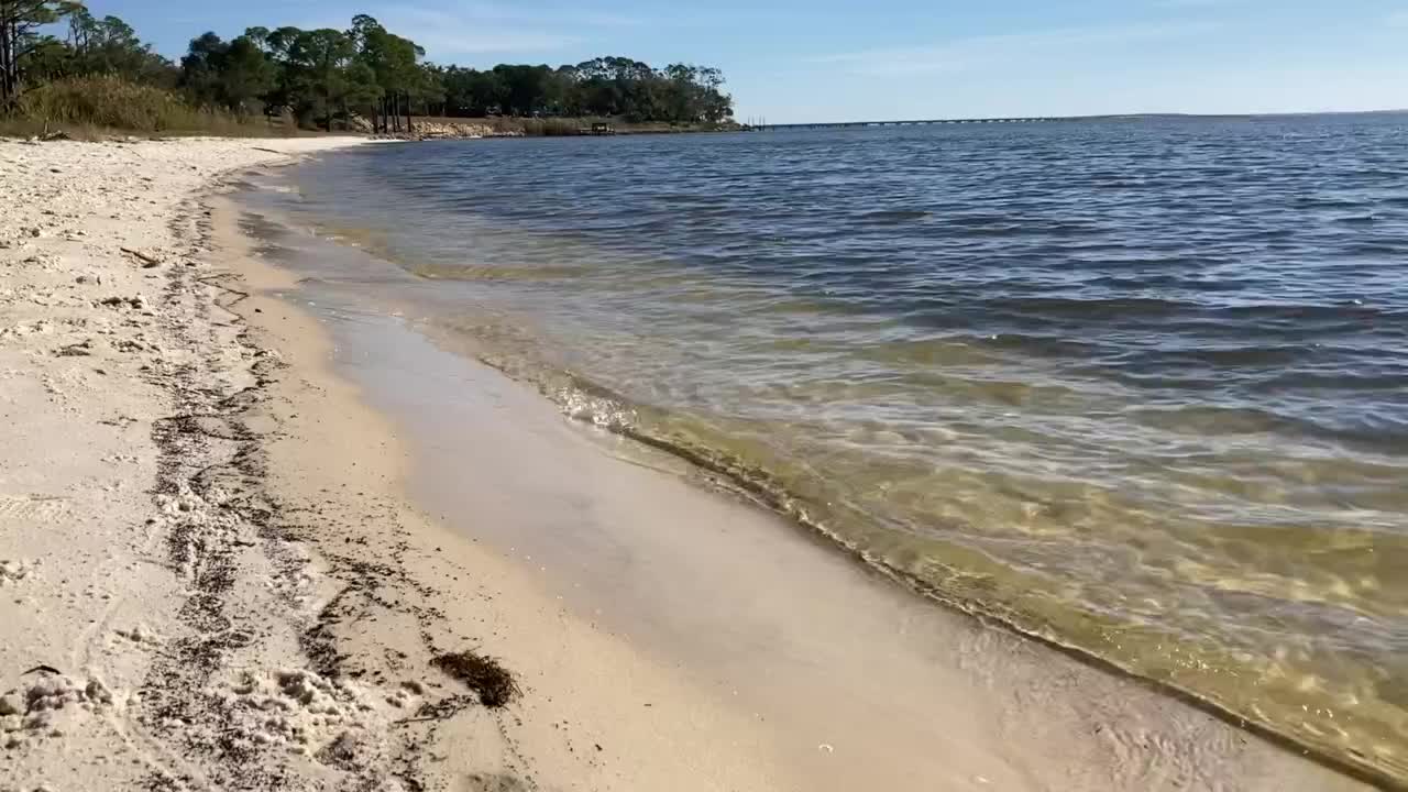 Goodbye red tide! Much of Big Bend coast free of harmful algal blooms