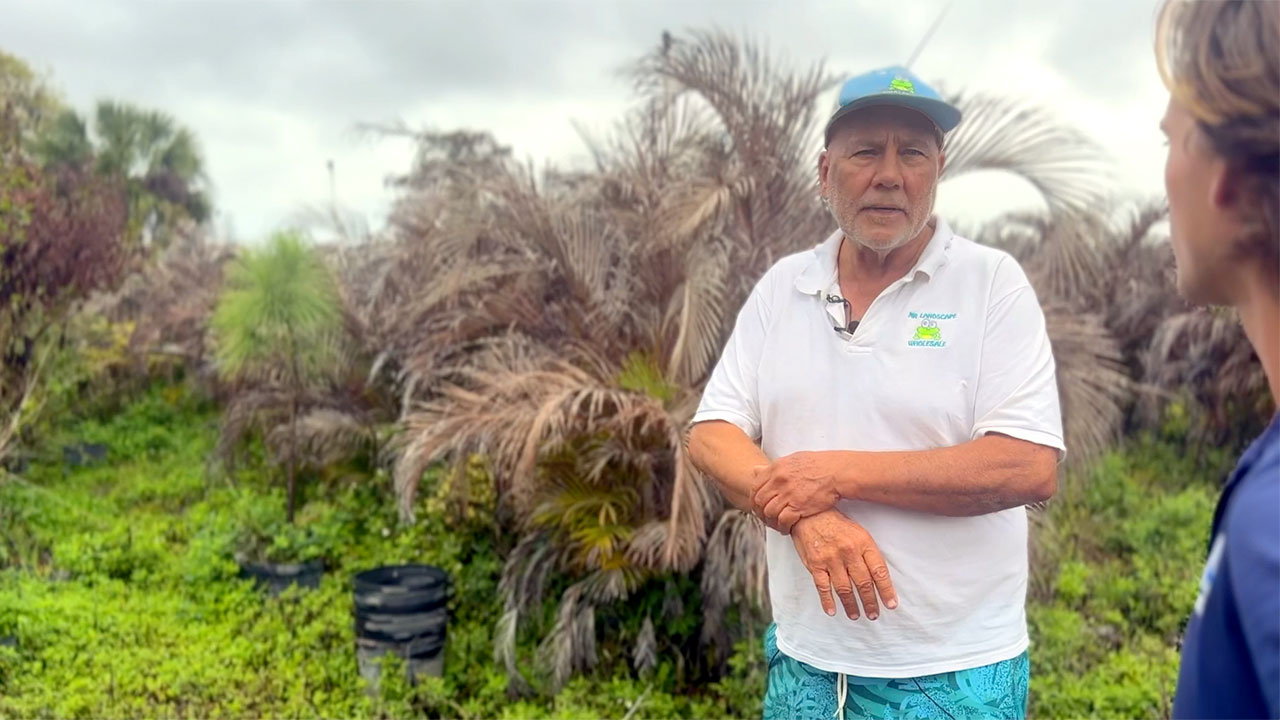 Carson Wales, owner of Mr. Landscape Wholesale in Hobe Sound, told WPTV reporter Tyler Hatfield that his nursery lost around $1 million worth of inventory during the recent cold snap.