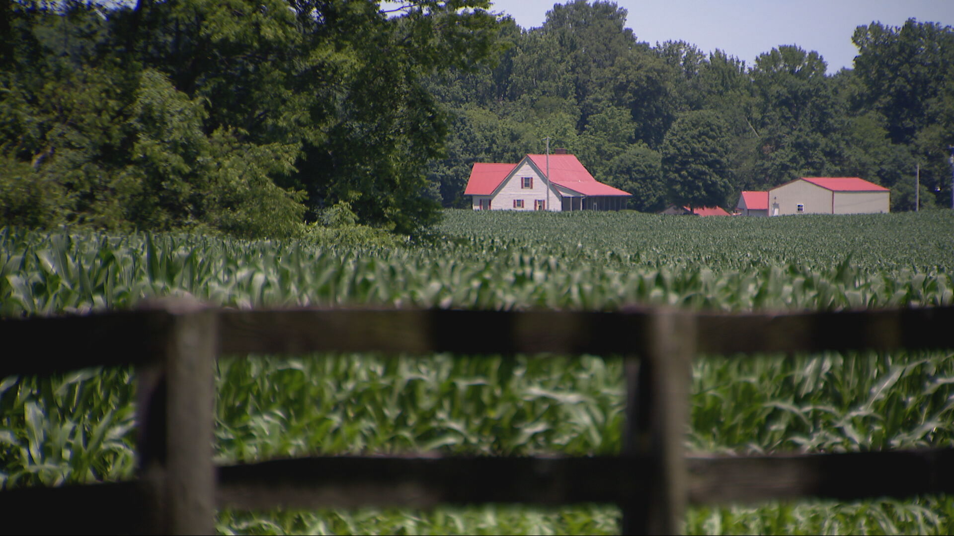Cedar Hill, Tennessee 