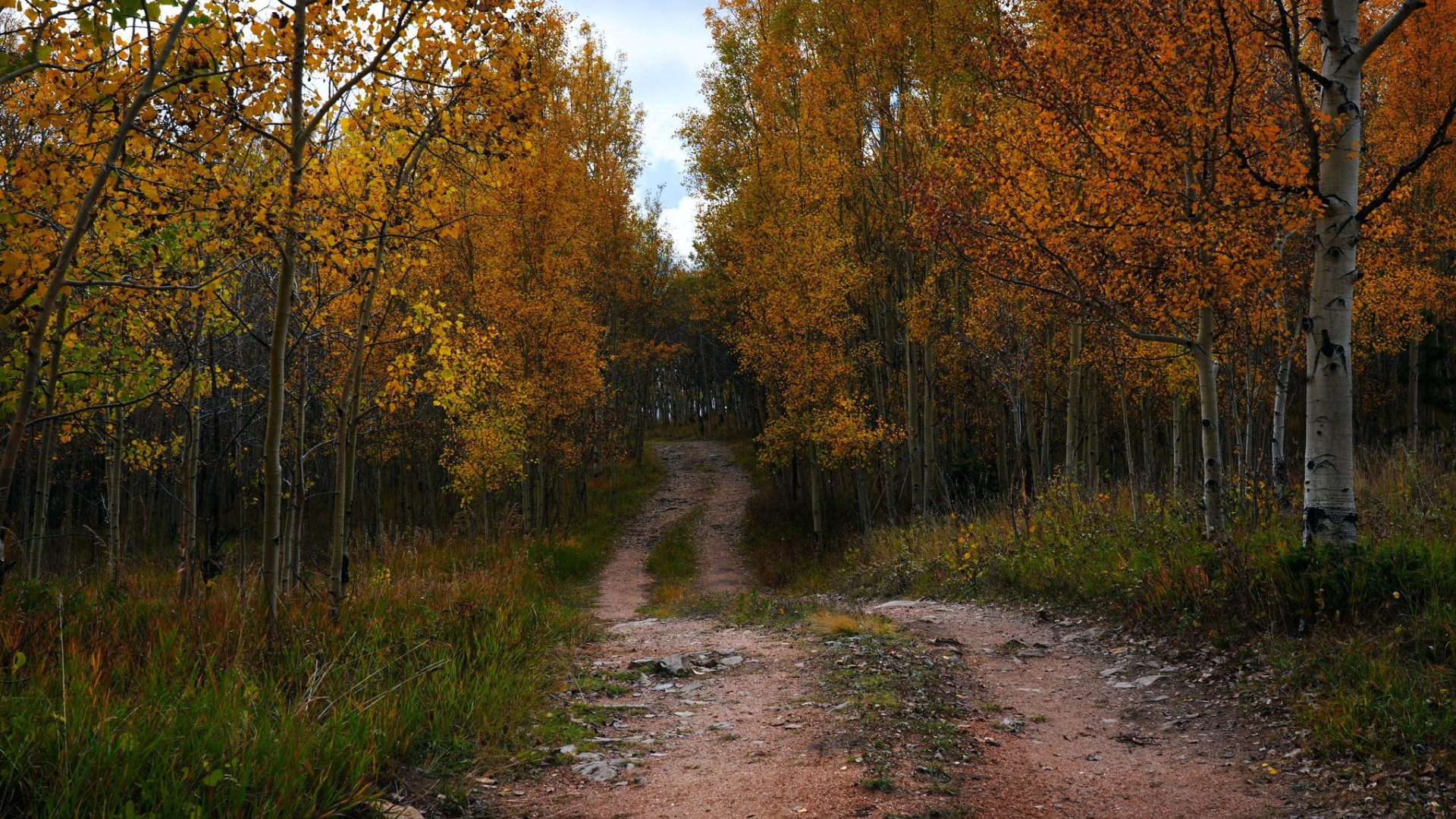 Cripple Creek fall colors