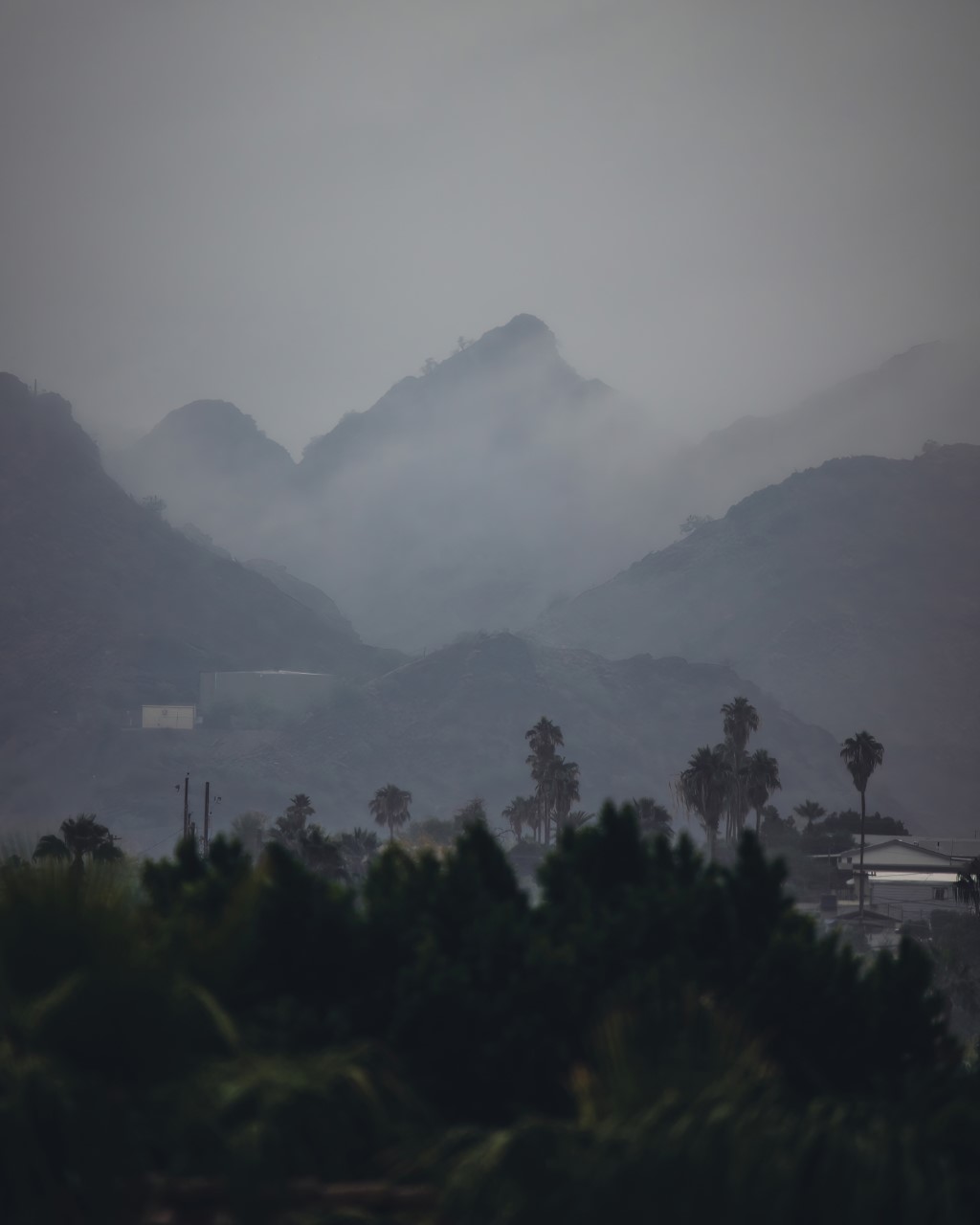 thumbnail_DSC_0938 copy.jpeg