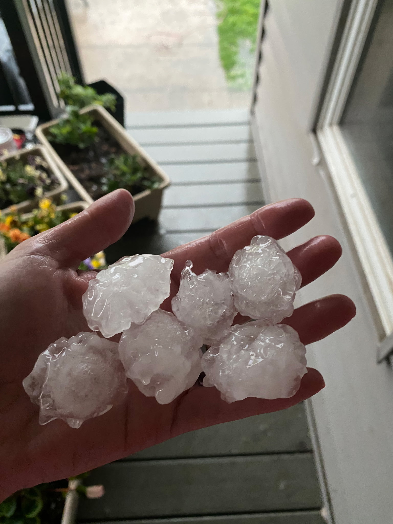Columbus Hail.jpeg