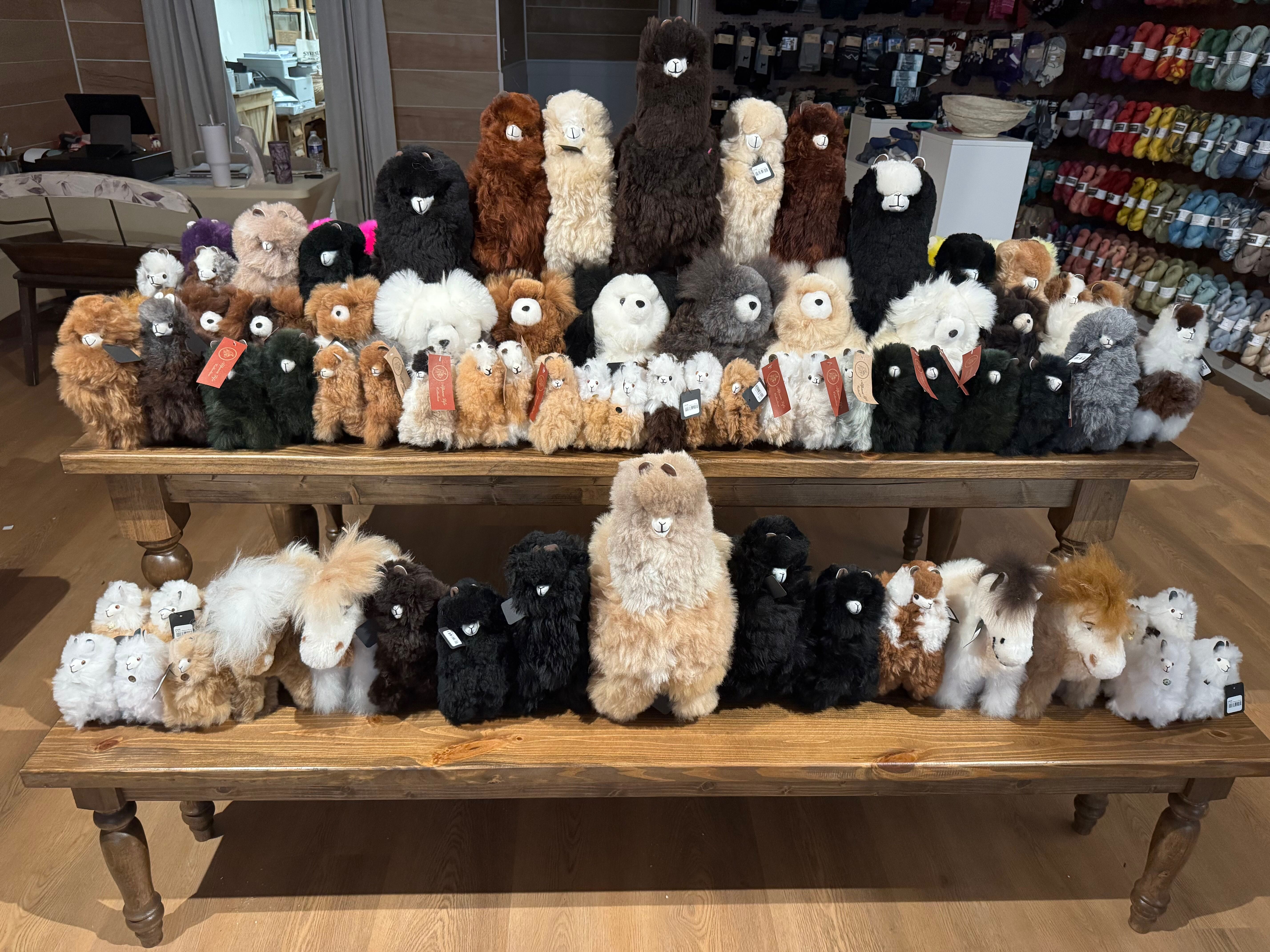black alpaca shop.jpeg