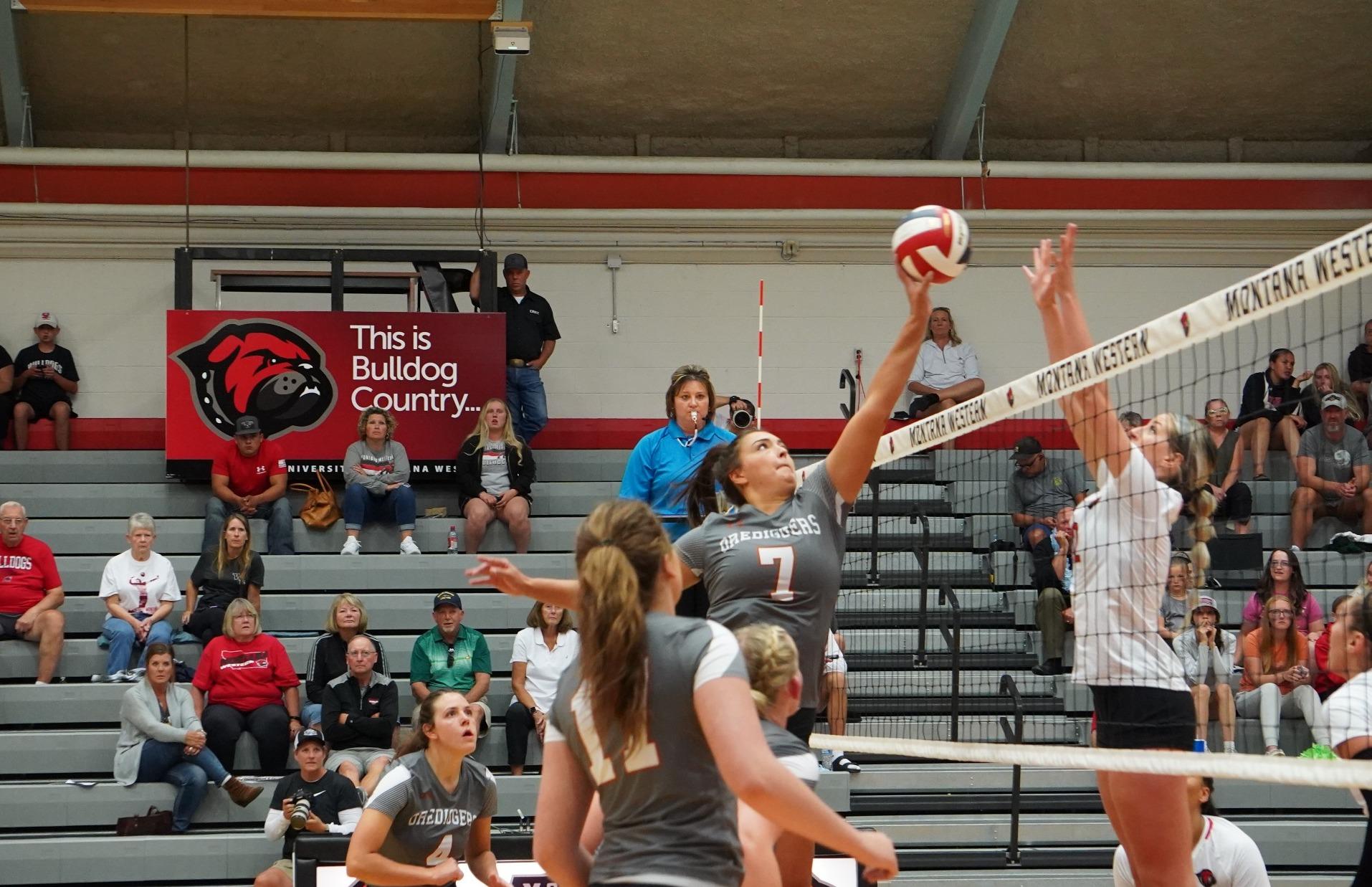 Montana Tech volleyball