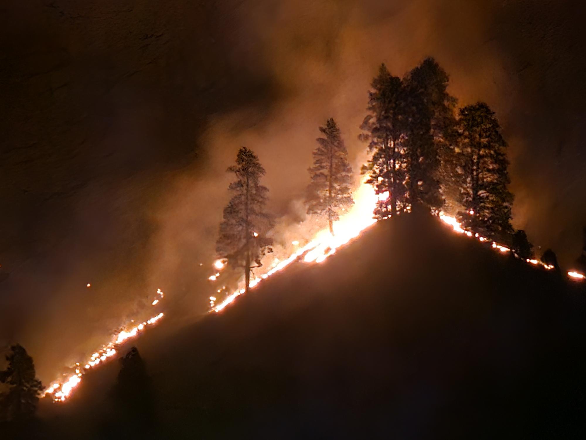 Mile Marker 81 Fire