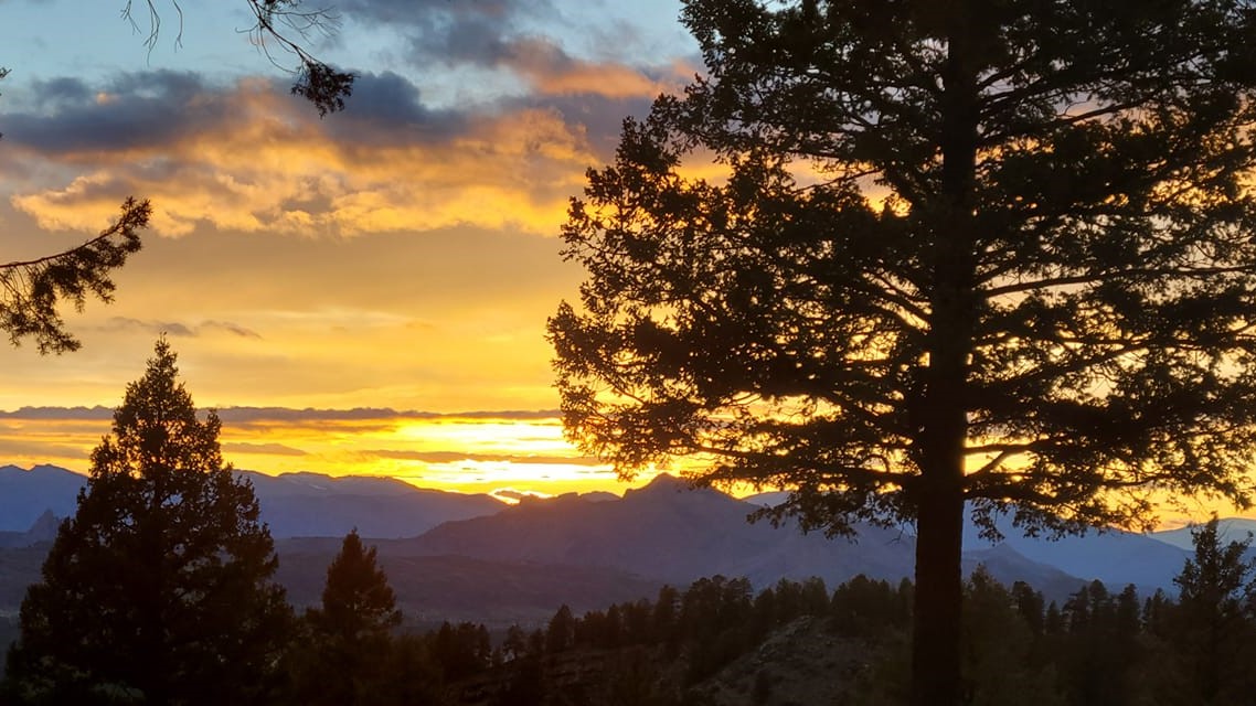 Ridgewood Carol Jean Brantner