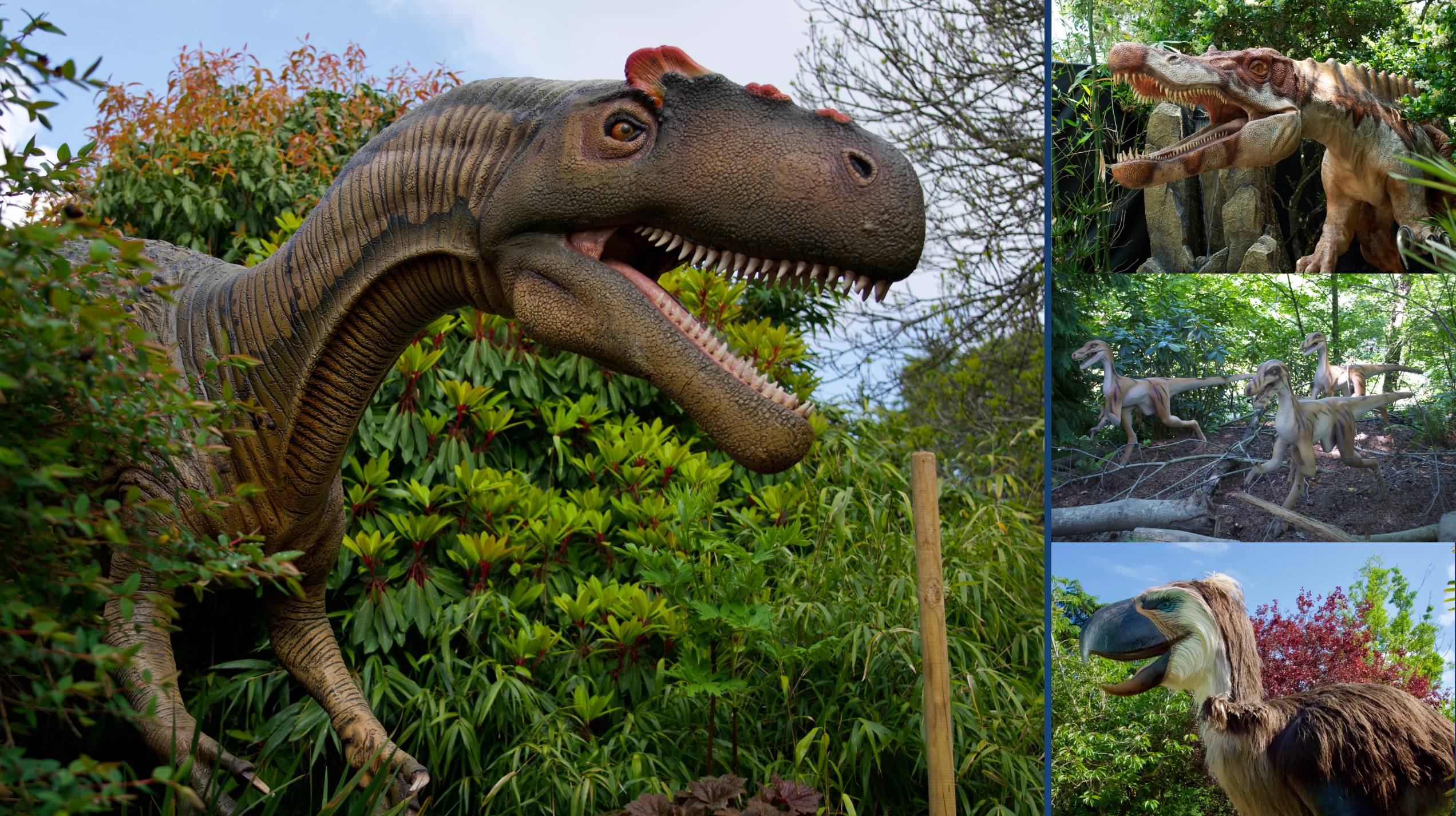 “Dinosaurs in the Desert” returns to the Phoenix Zoo this fall. 