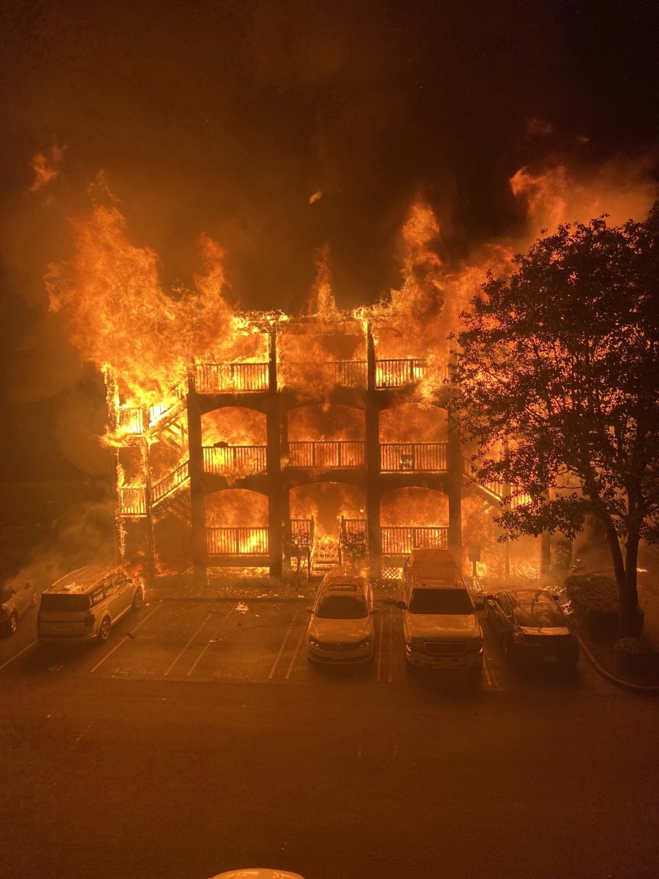 thumbnail_Image (1).jpg