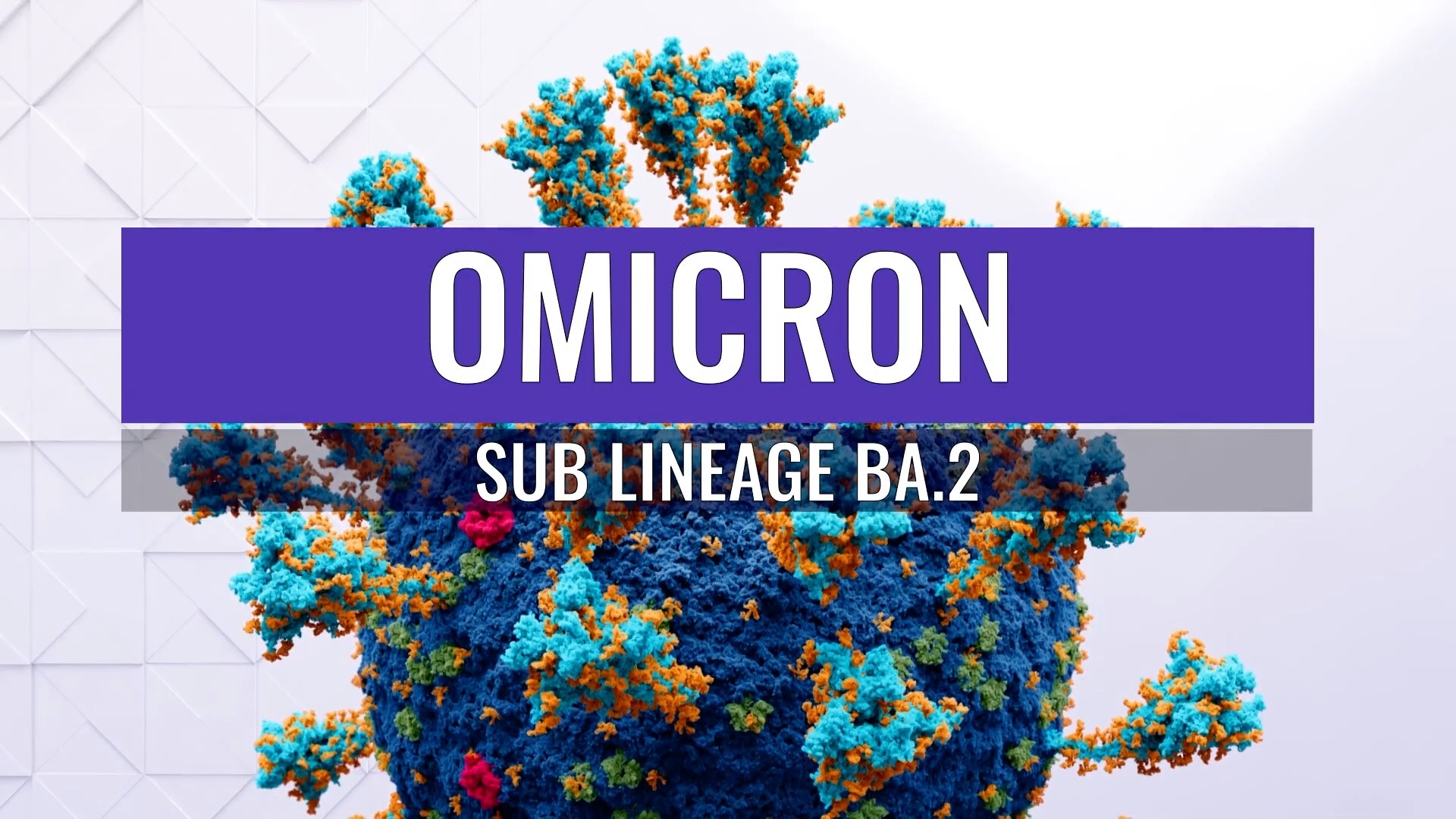 Omicron Sub Lineage BA.2
