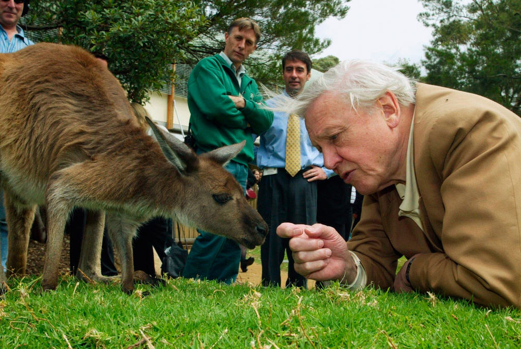 Britain Attenborough 100th Birthday