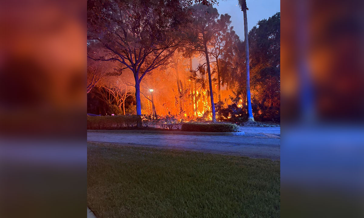 Stuart brush fires 