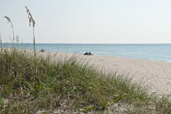 Ocean ridge Hammock Park