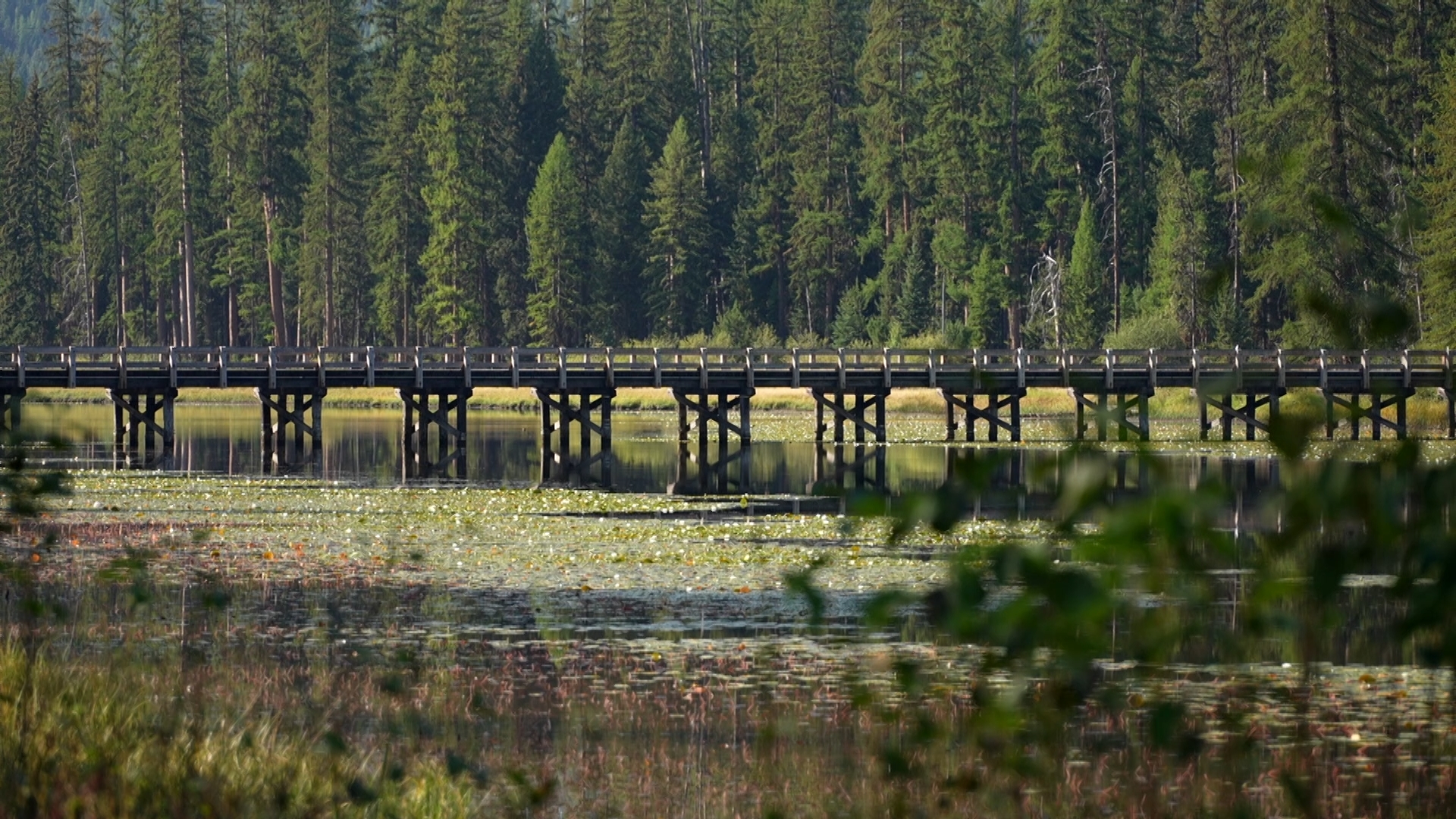 Boyscout Bridge 