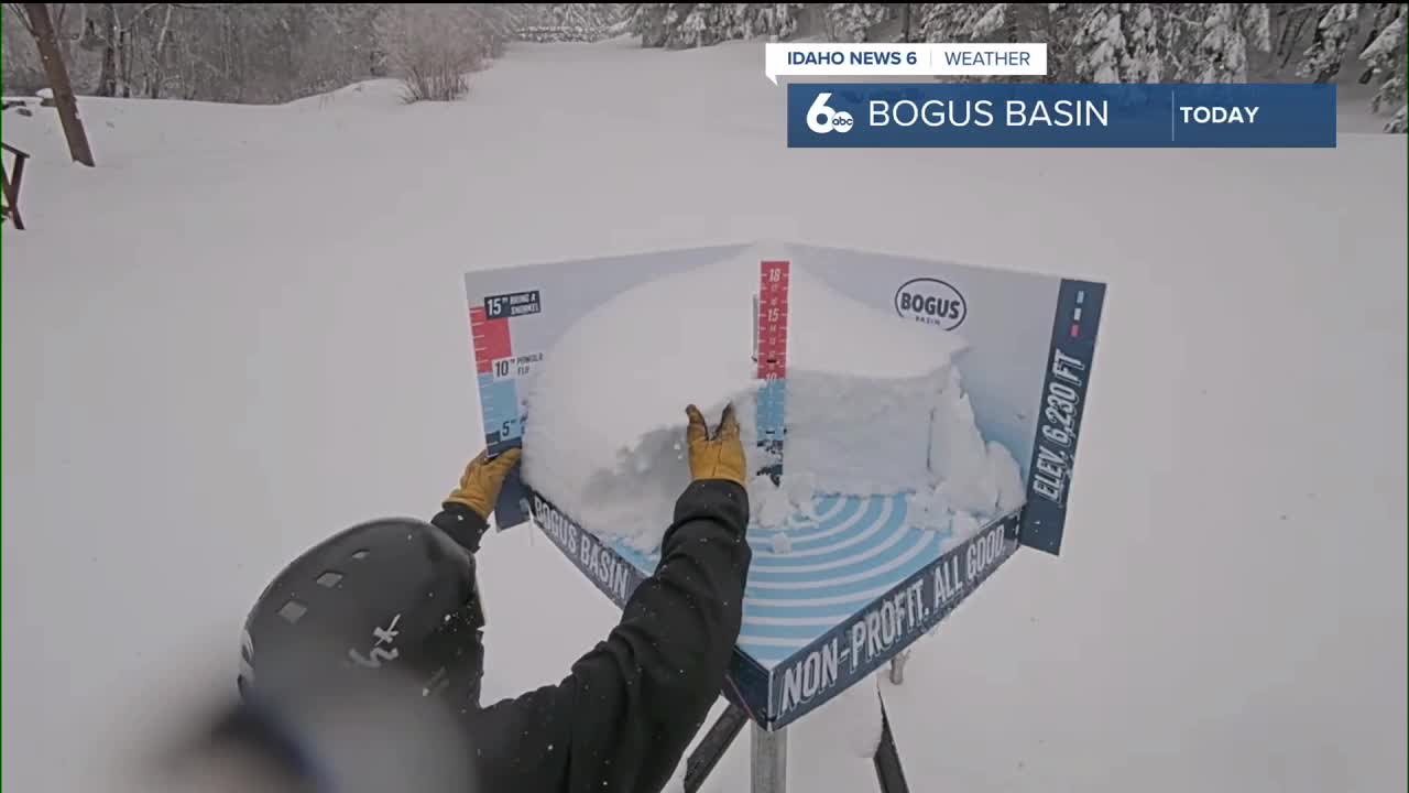 bogussnow.jpg