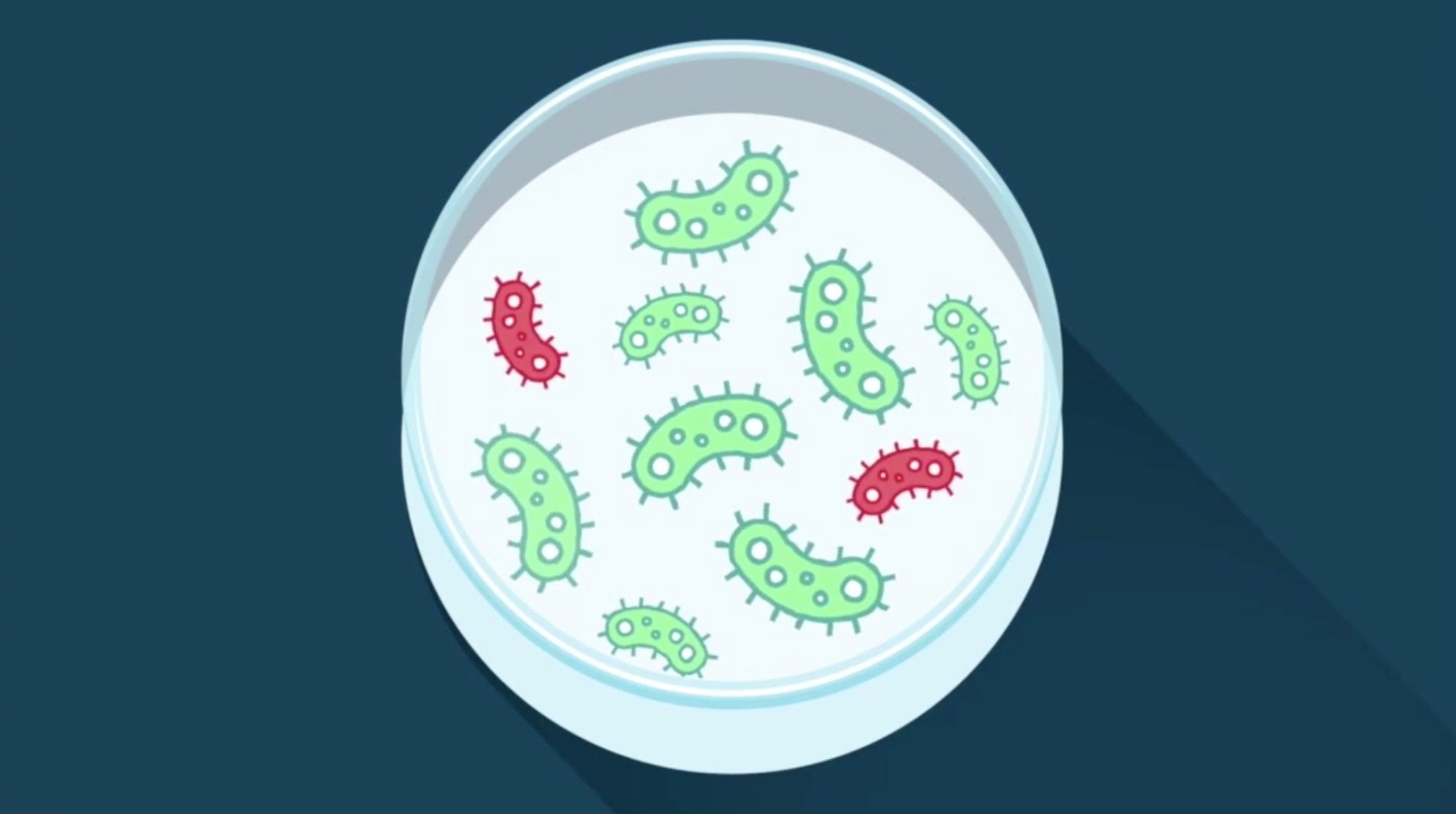 Infectious disease experts worried about growing threat of superbugs