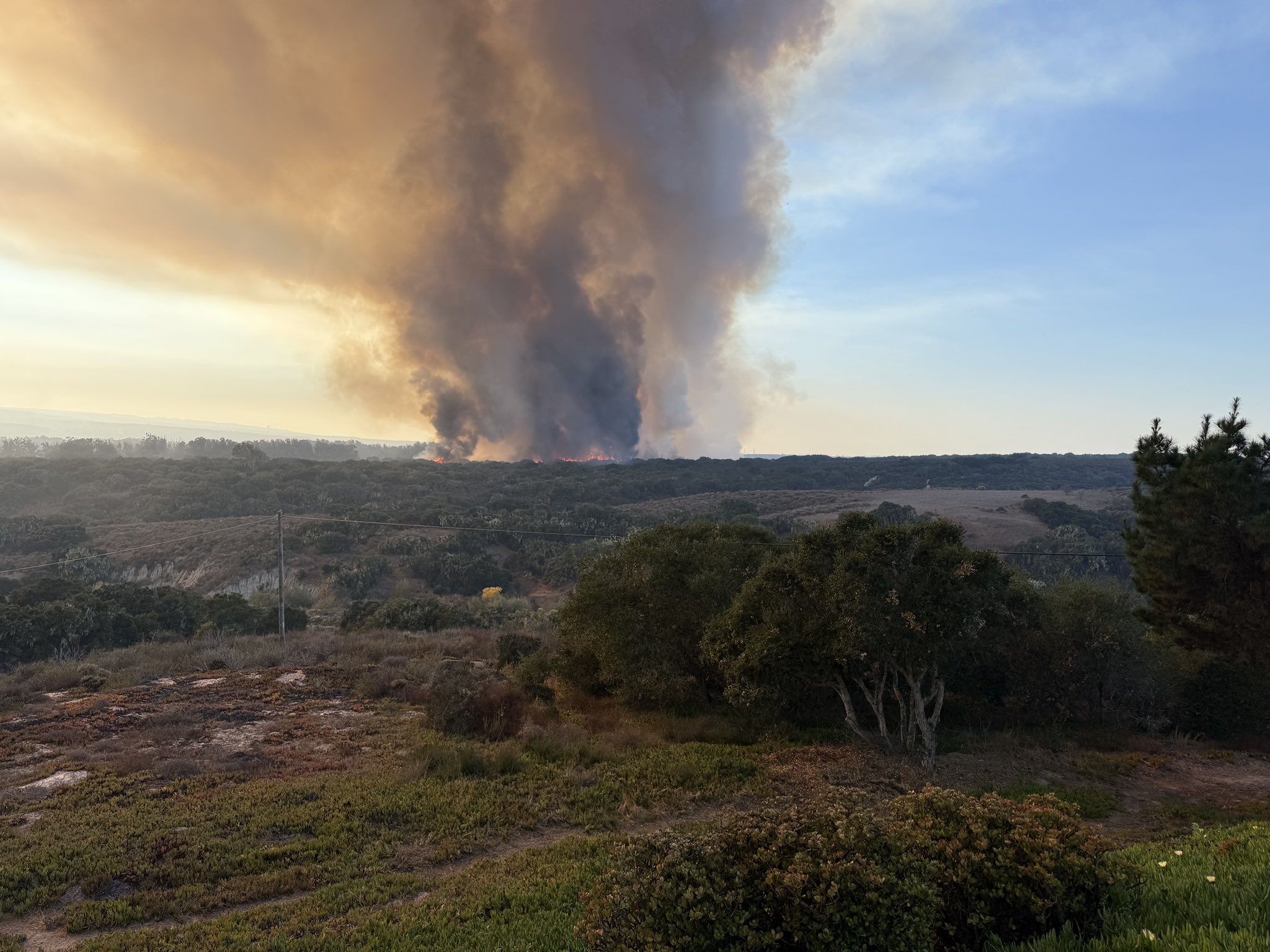 santa lucia fire.jpg