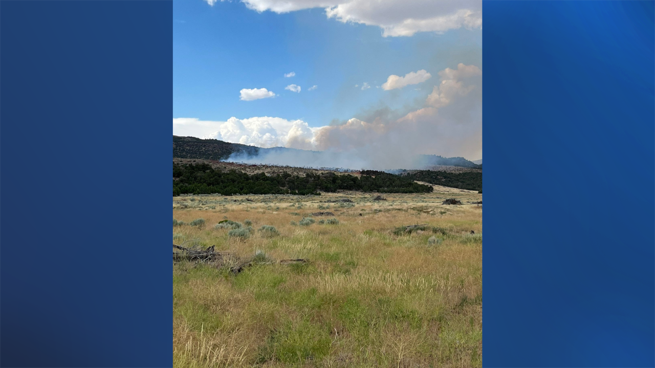 Crews work to contain new wildfire near Cedar City