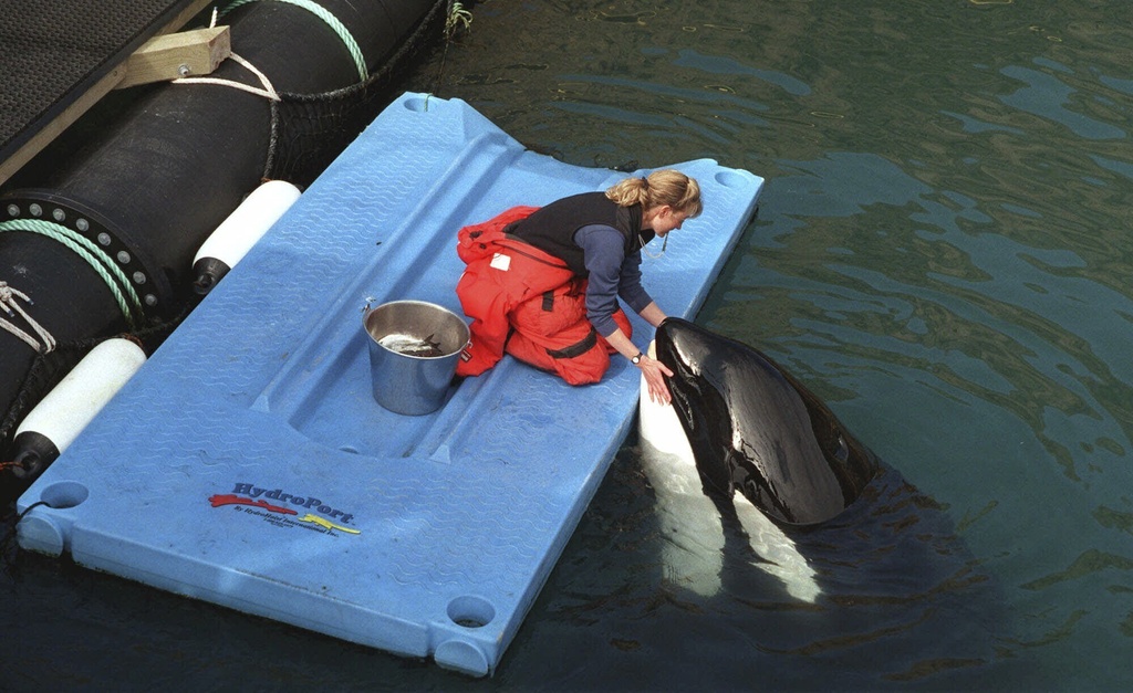 Free Lolita Keiko's Fate