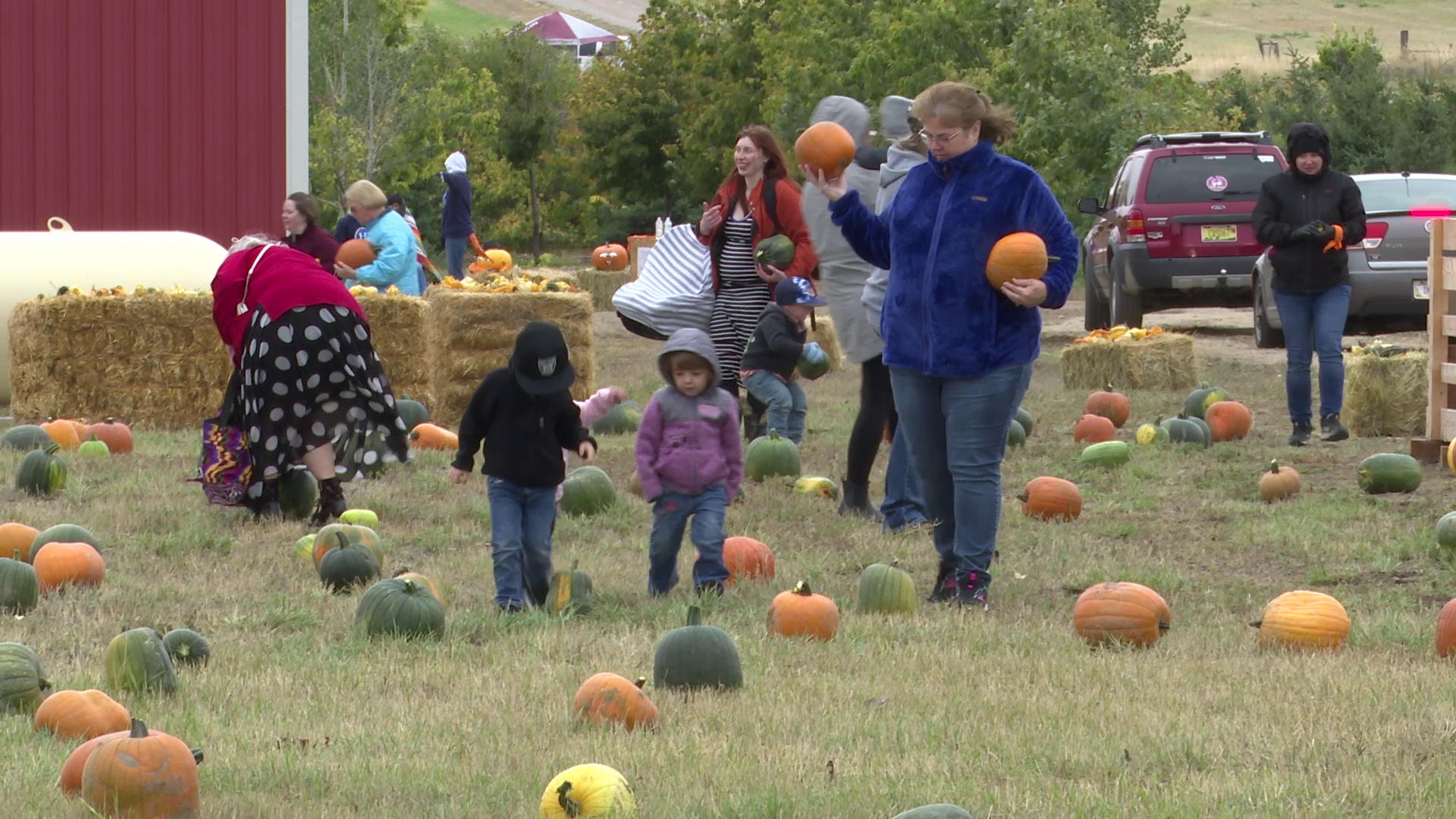 Jordan’s Pumpkins for a Cause