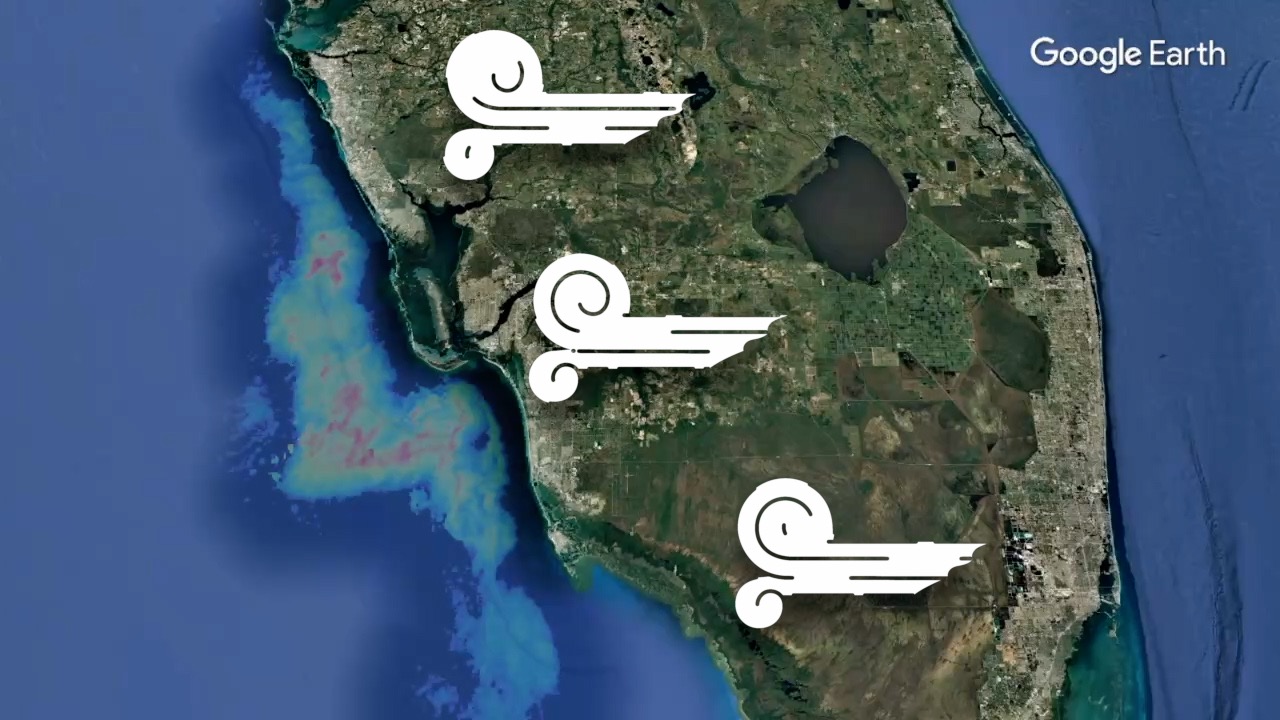 SWFL RED TIDE UPDATE CALUSAWATERKEEPER THUMBNAIL.jpg