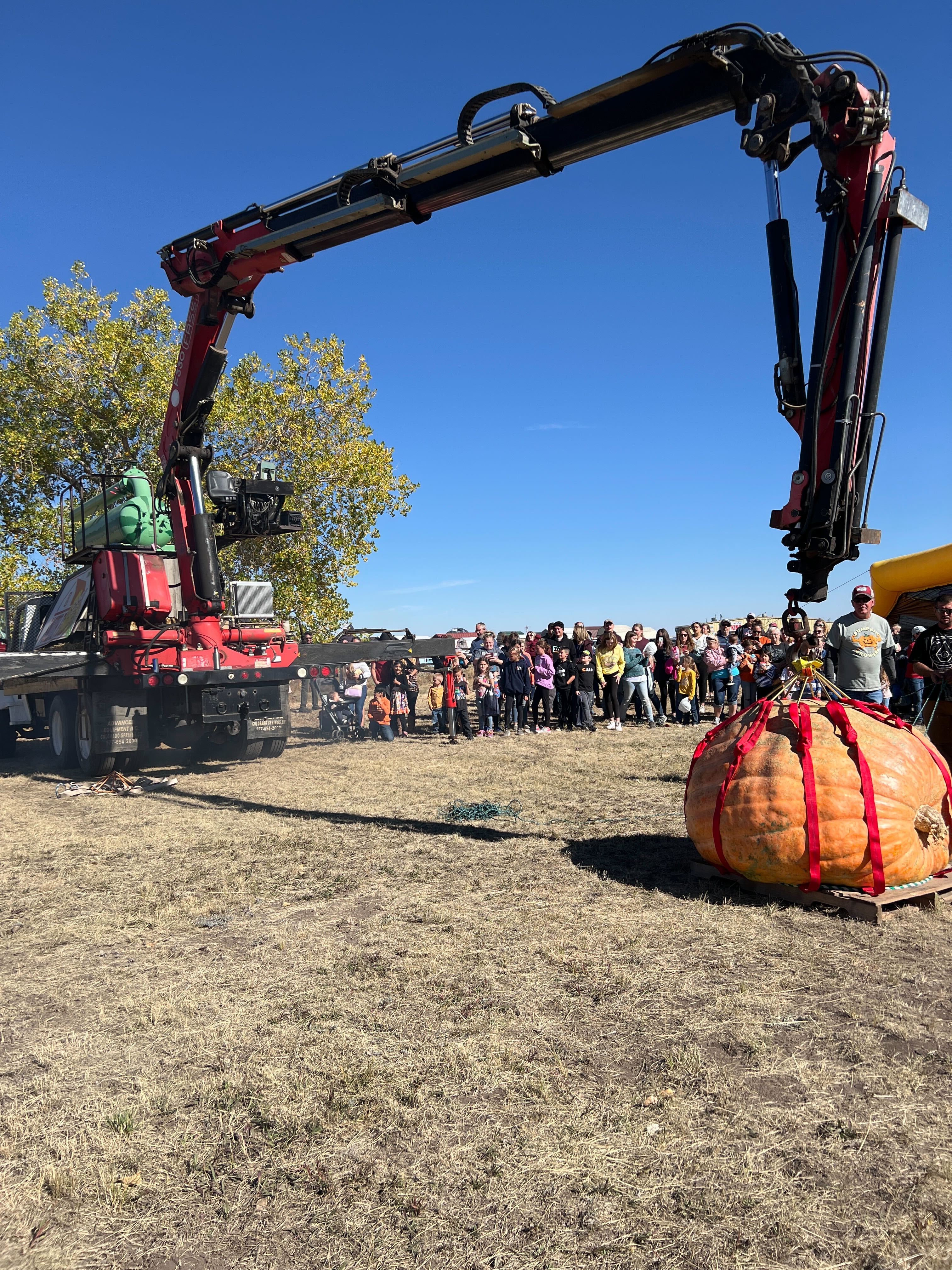 Giant pumpkin.jpg