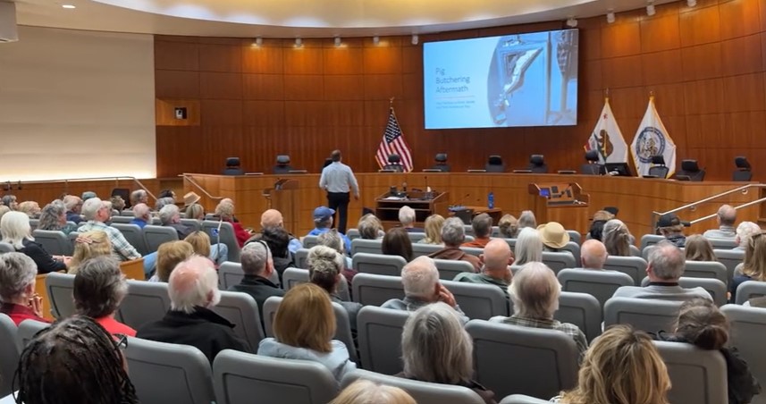 DA fraud workshop.jpg