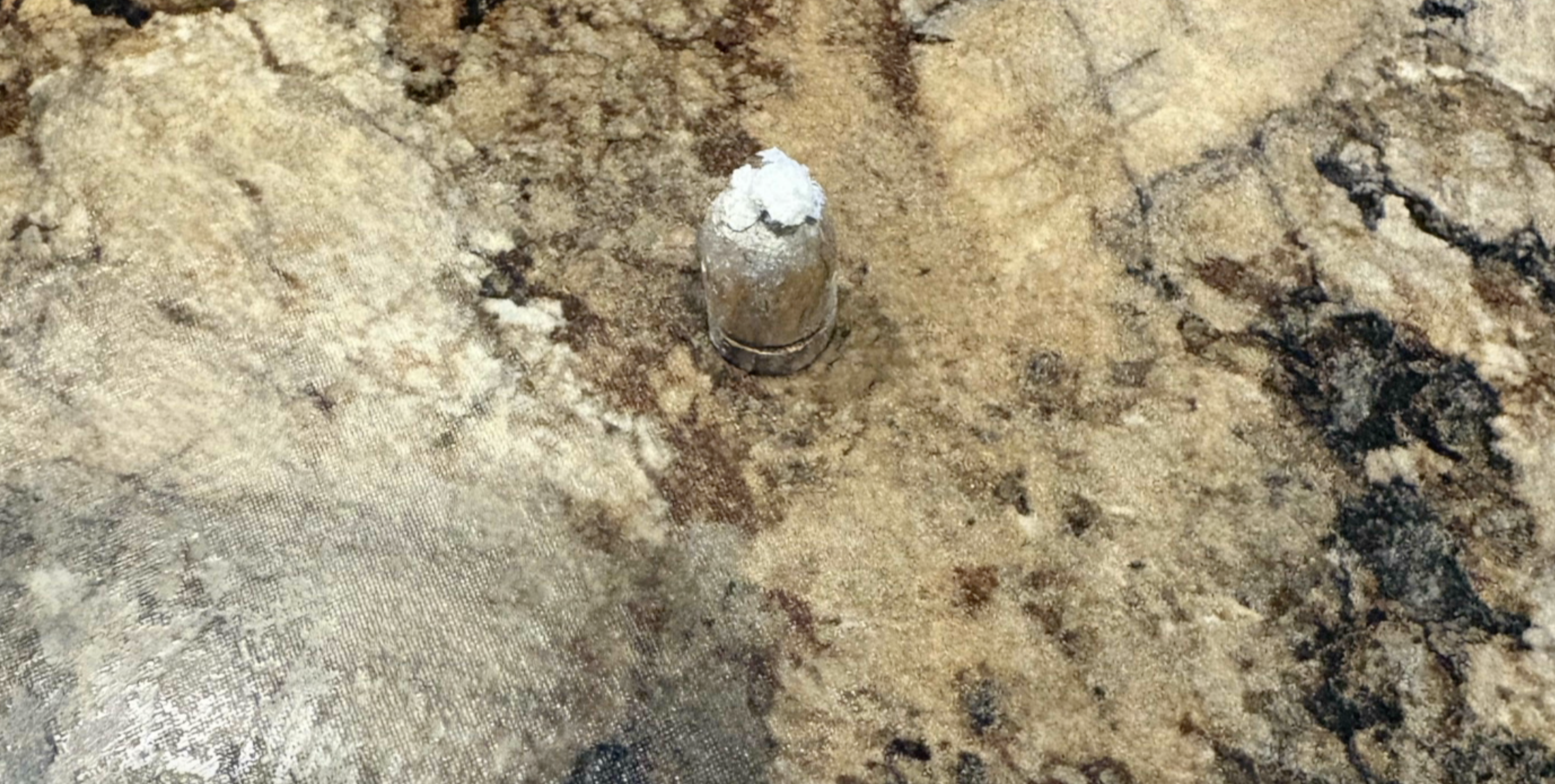 bullet found in home