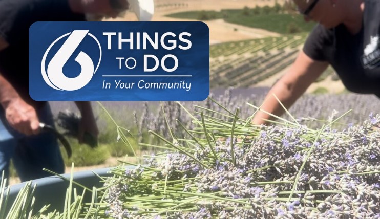 6 Things to do from July 10 to 12, 2026