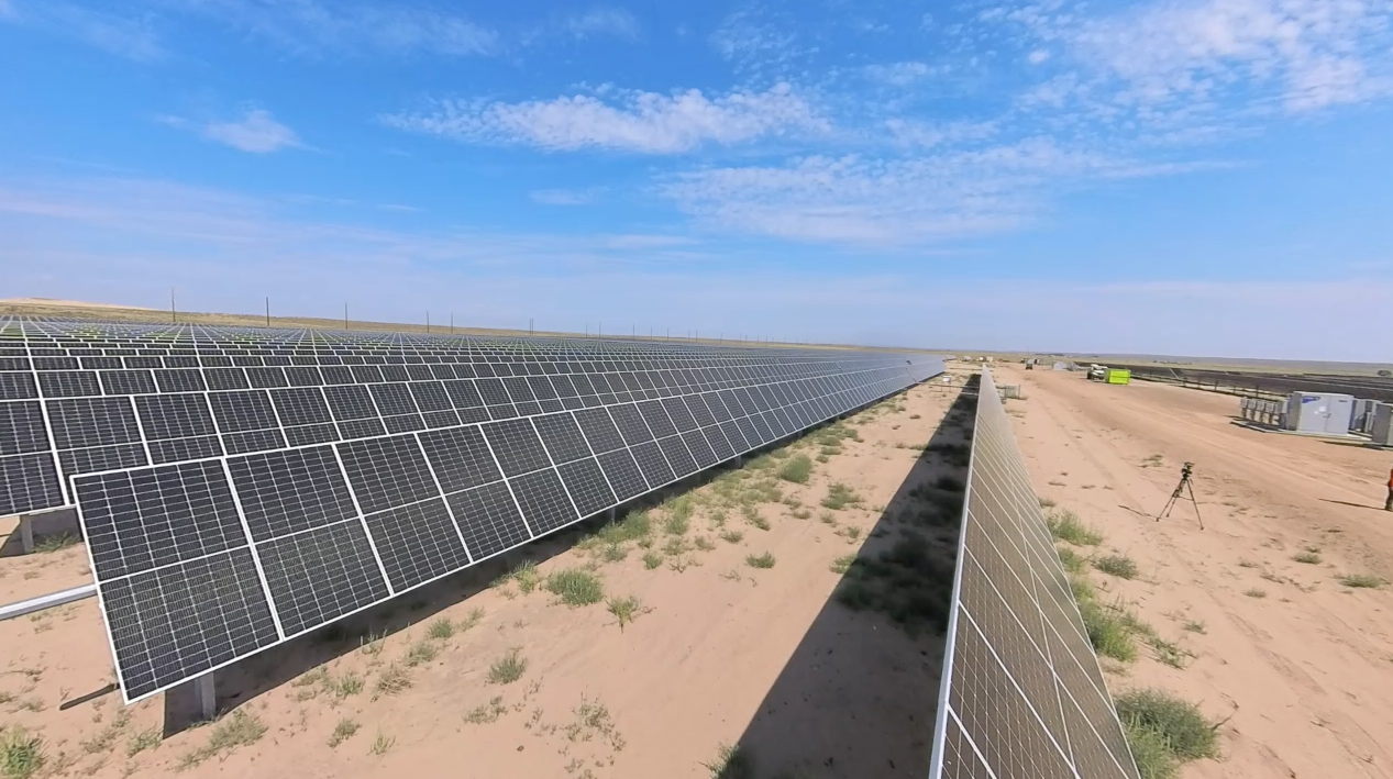 Molson Coors solar field 