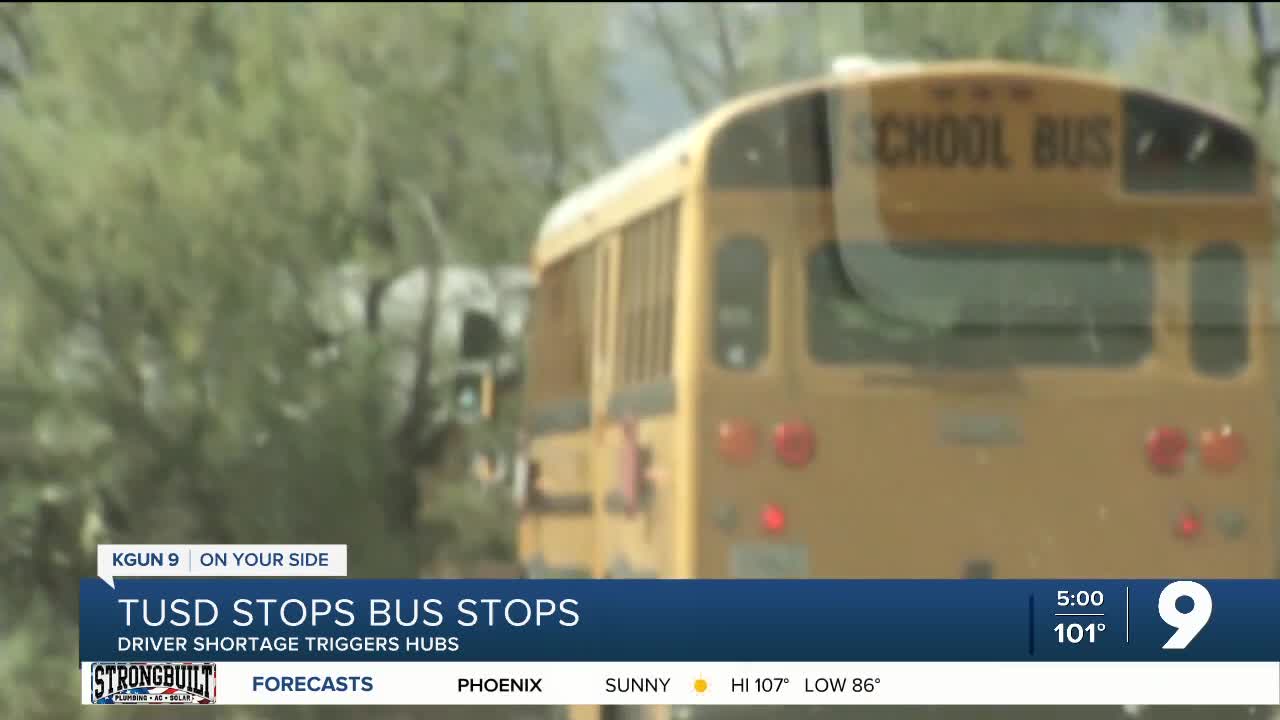school bus.jpeg