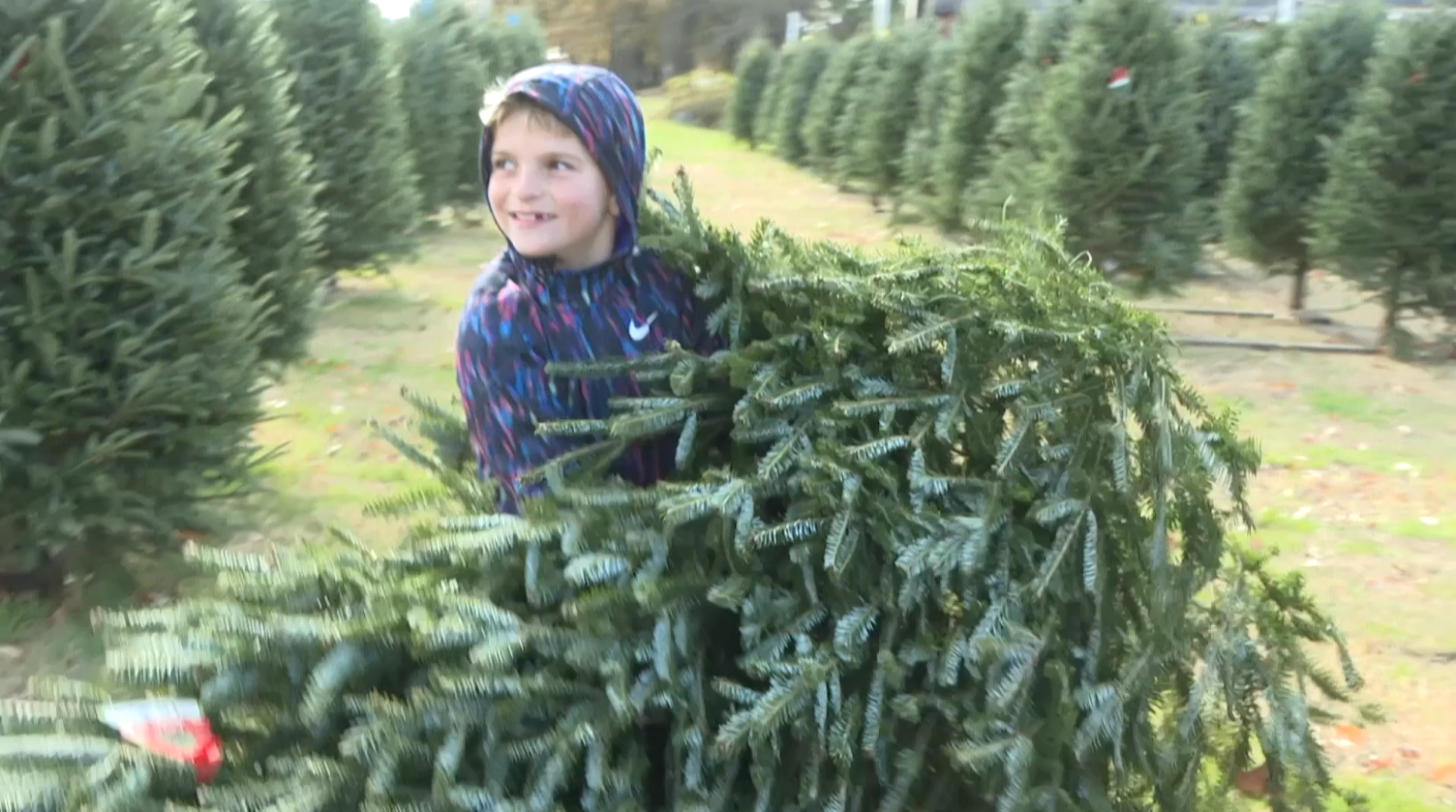 Screenshot 2023-11-27 090453.png