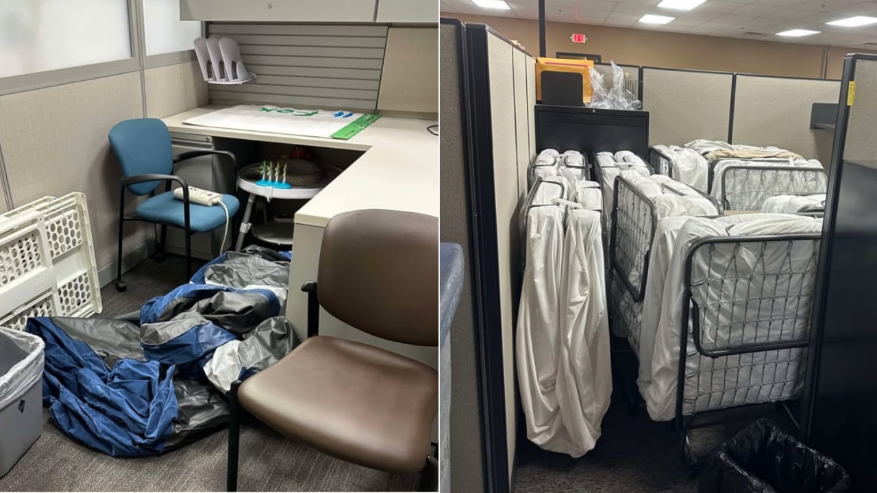 NC5 Obtains photos of bedding at DCS office