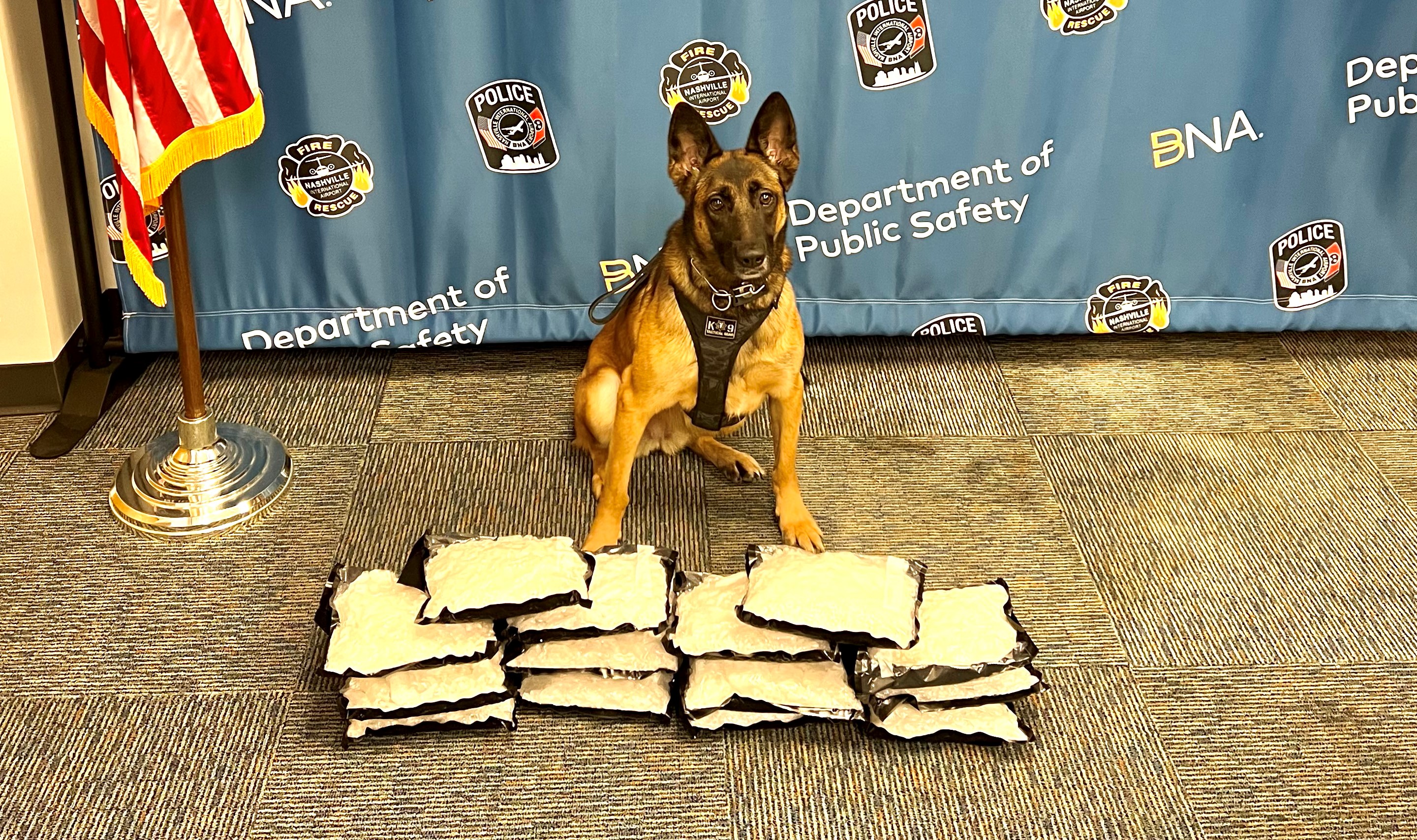 K9 Havoc 9.20.22.jpg