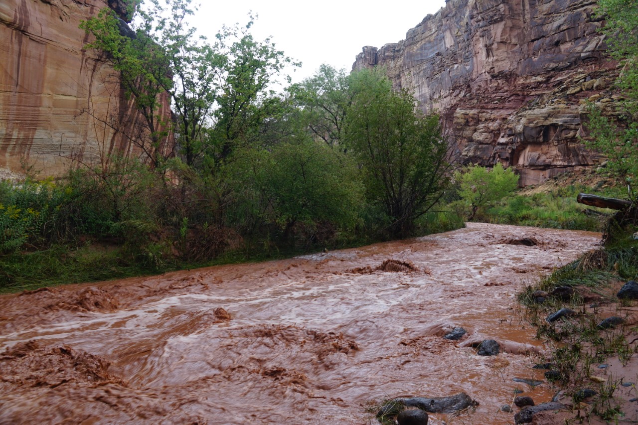 Capitol Reef Flooding