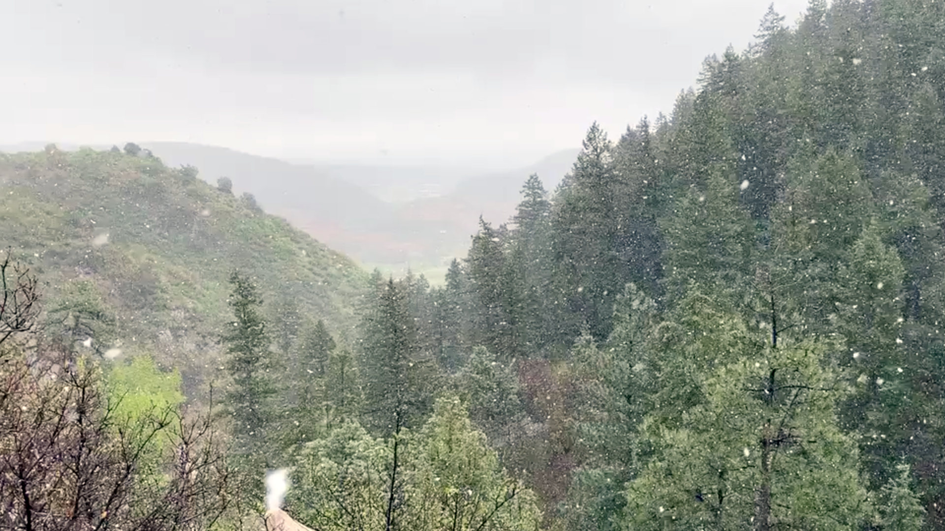 deer canyon snow sid philips.png