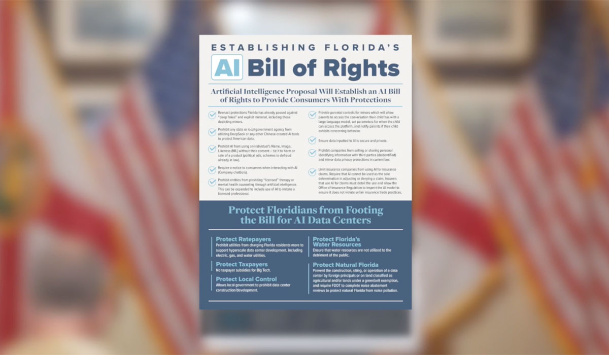 AI Bill of Rights 