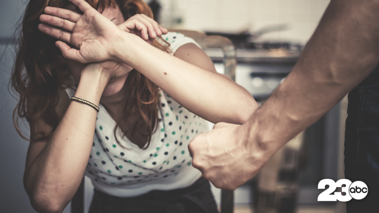 Domestic Violence (FILE)
