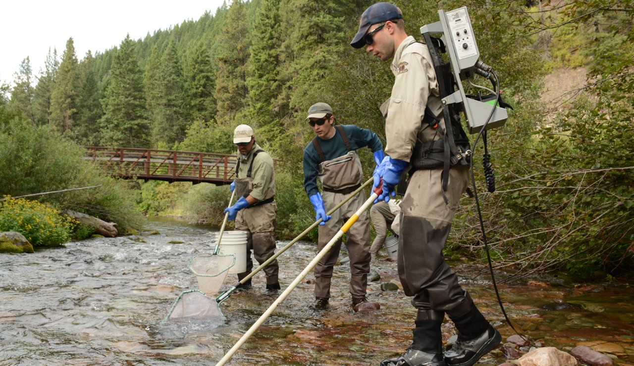 electrofishing