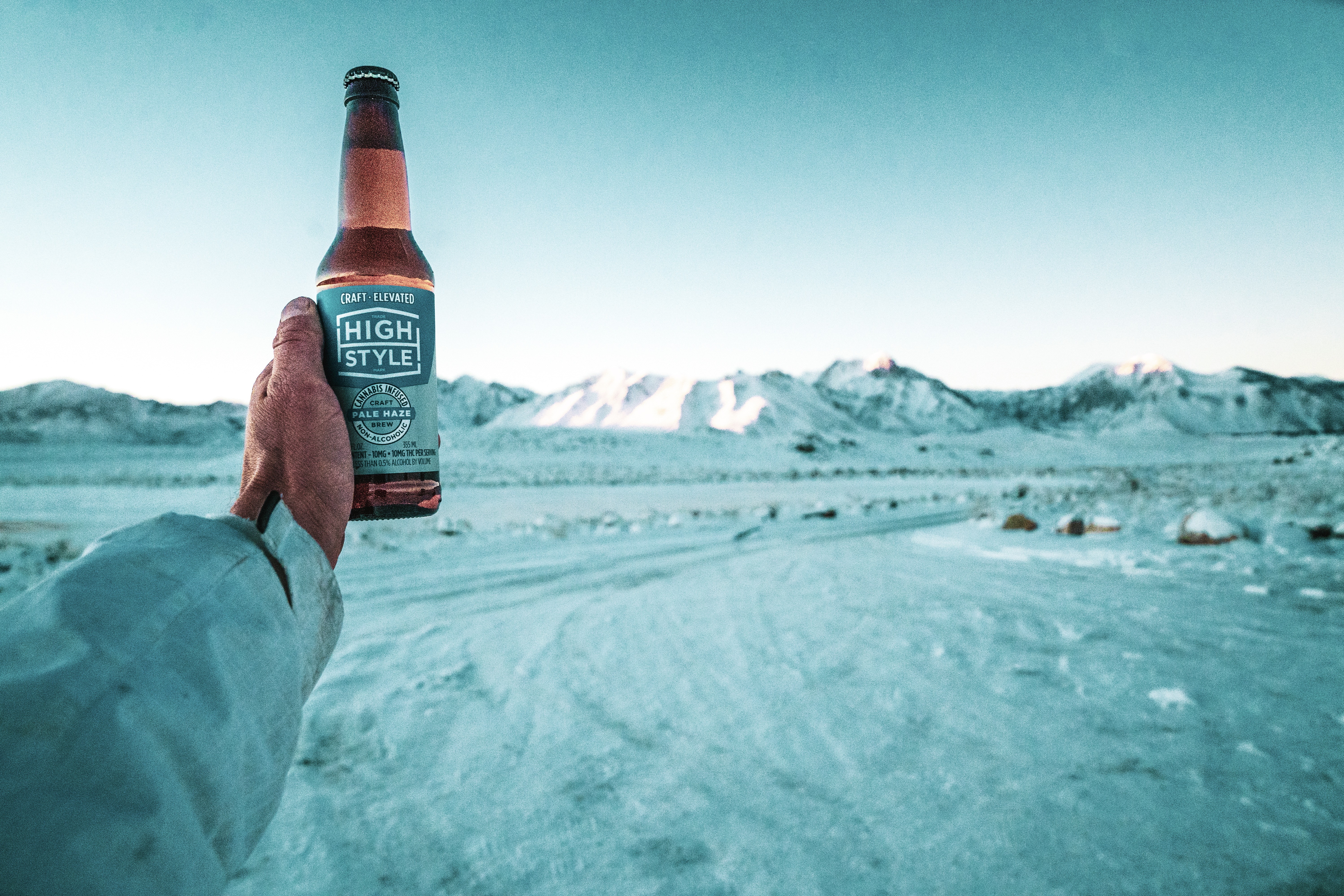 high style craft beer_DSC01141.JPG