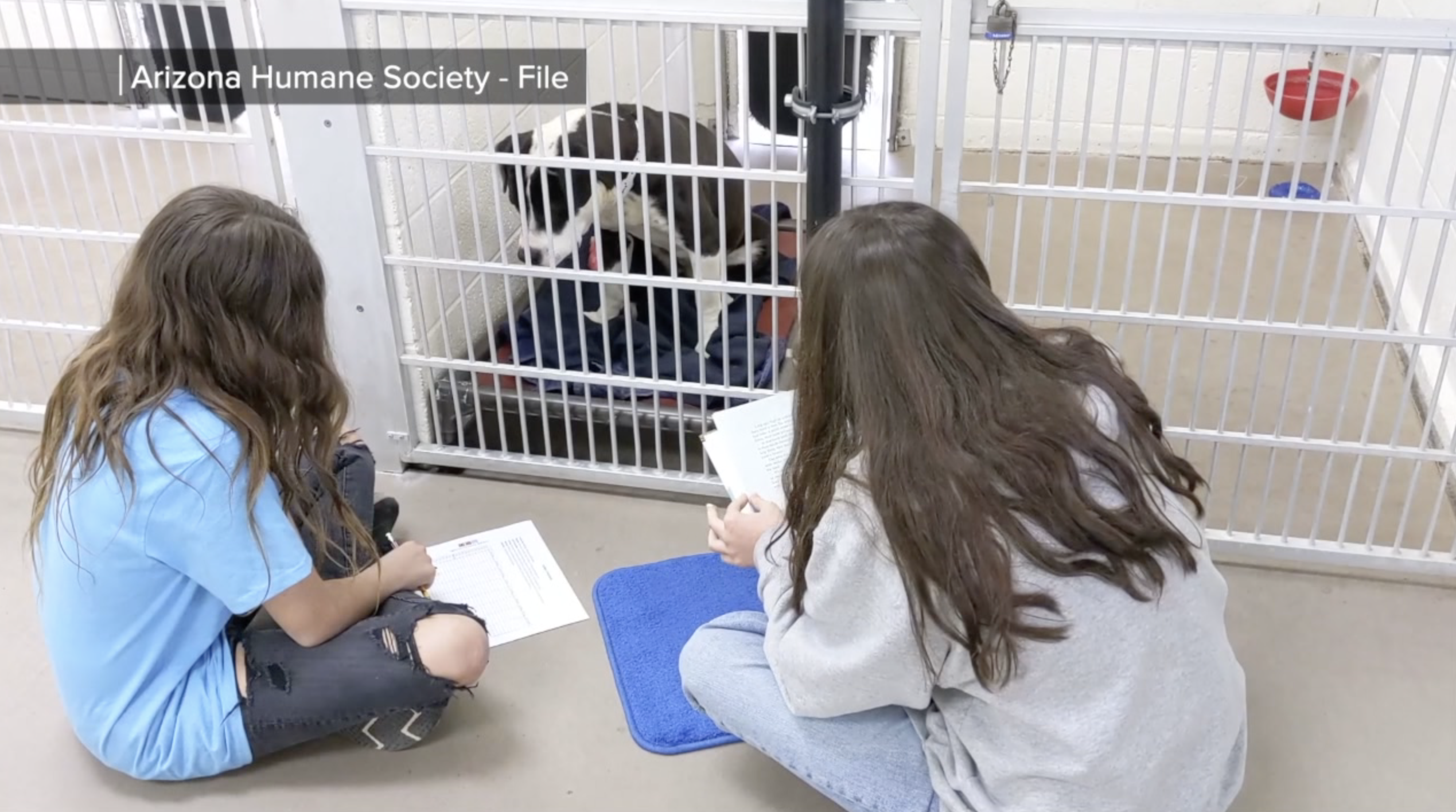 Screen Shot 2021-04-13 at 11.37.59 AM.png