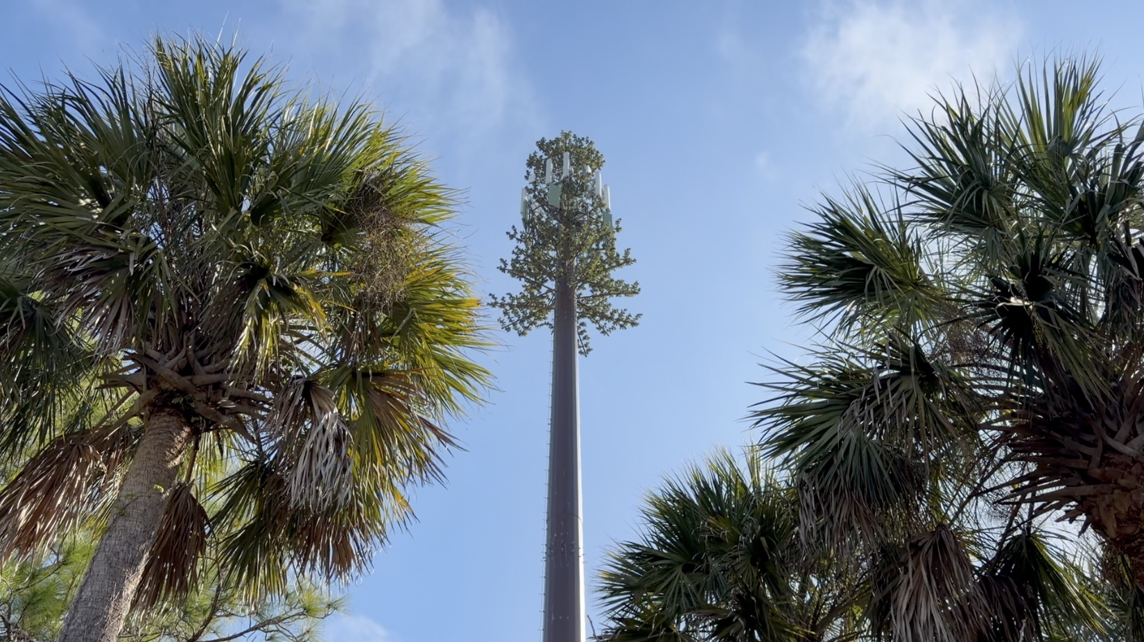 Screenshot 2026-02-17 at 3.46.20 PM.png