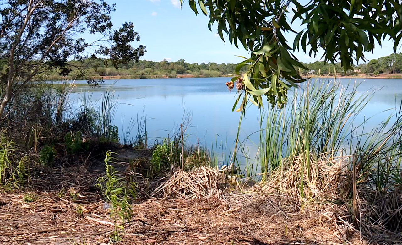 Property located between Interstate 95 and Rosser Boulevard in Port St. Lucie on Feb. 20, 2026