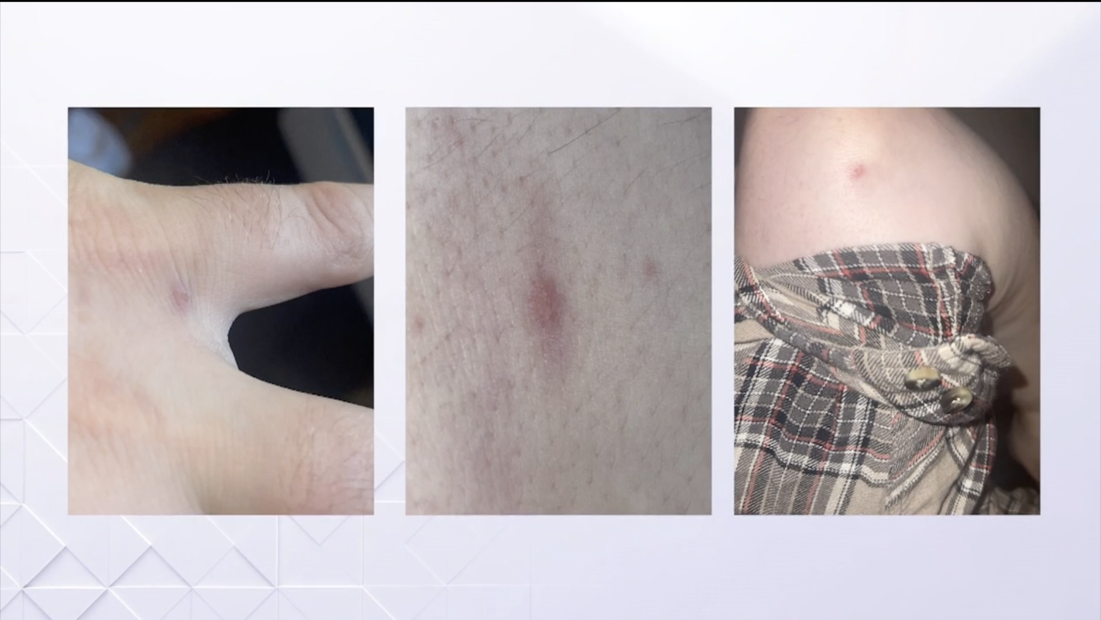 Screen Shot 2022-08-10 at 7.08.30 PM.png