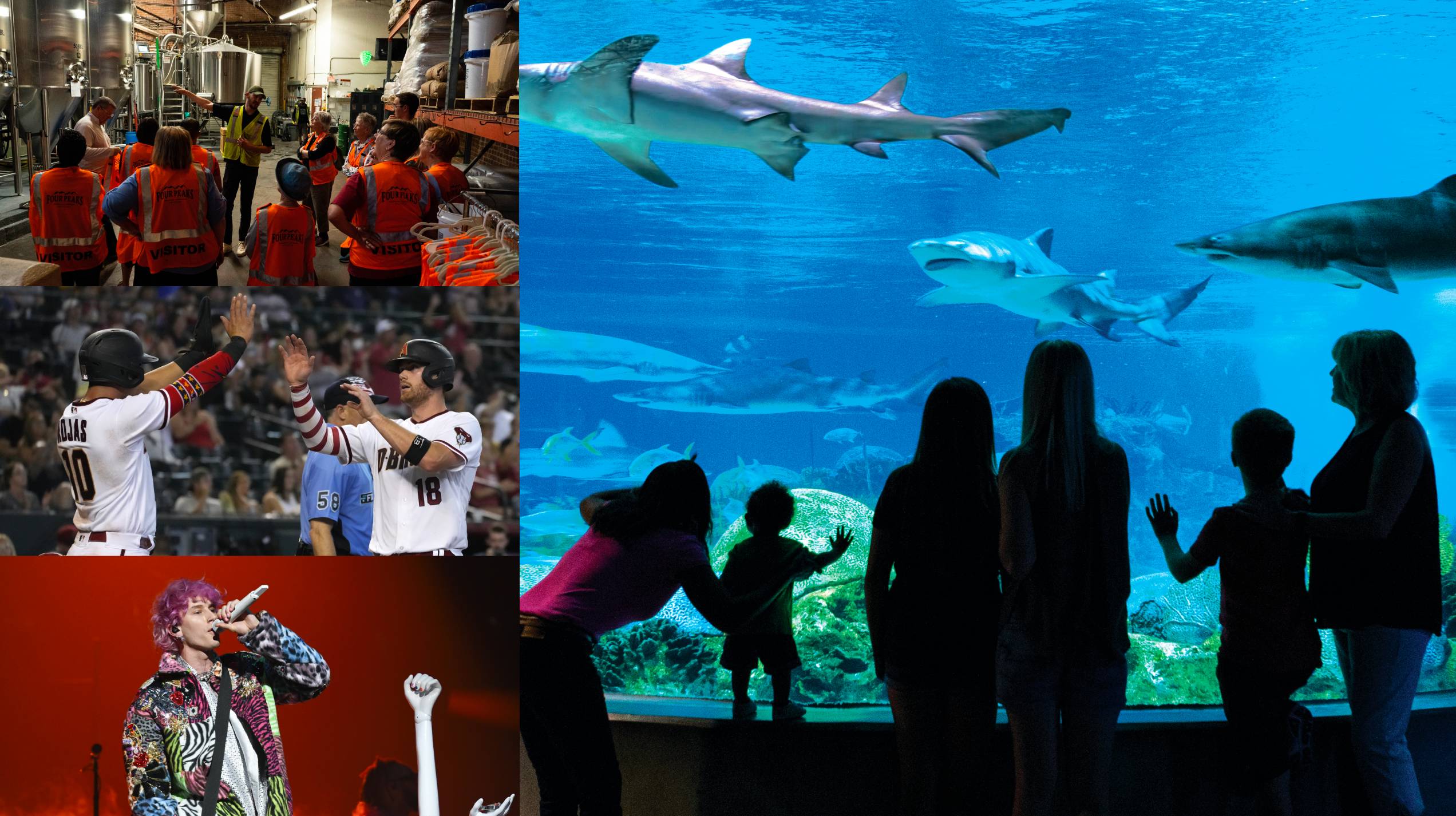 Things to do this weekend [July 8-11] in the Valley