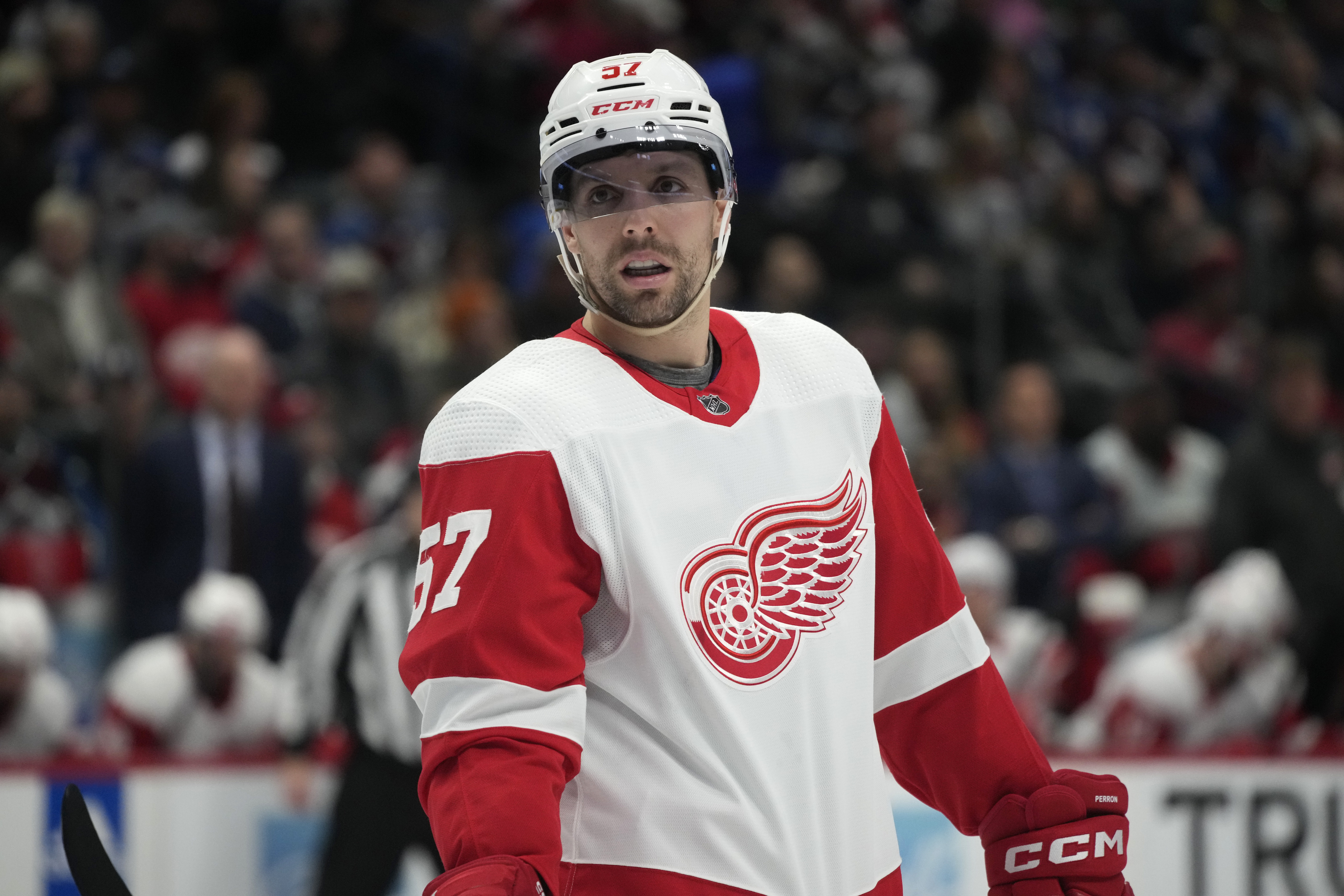 Red Wings Avalanche Hockey