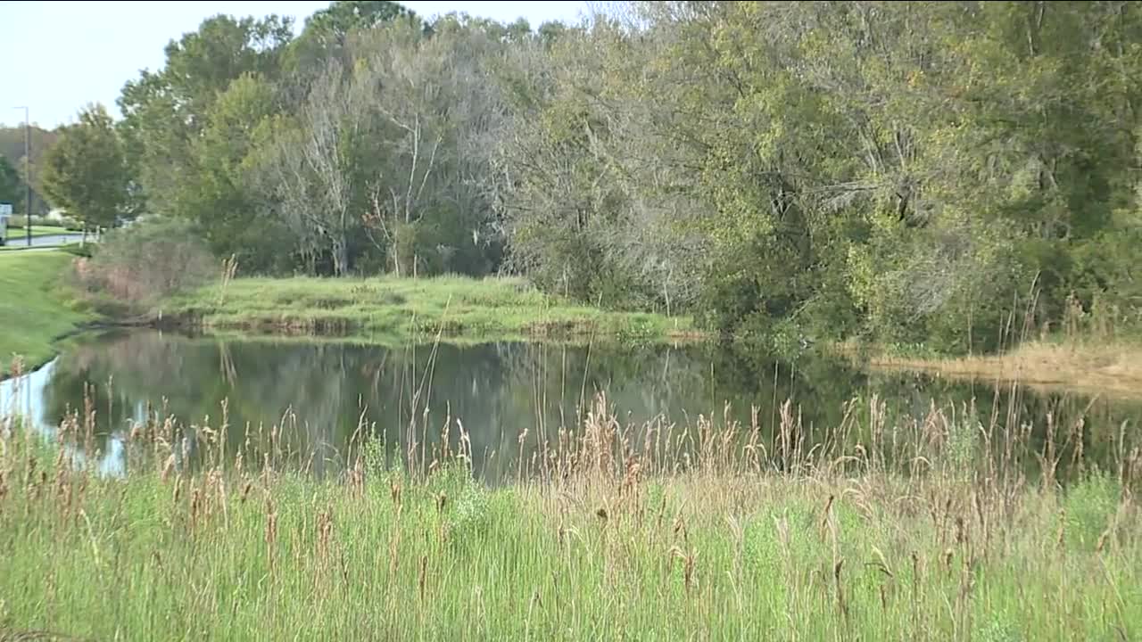 Pasco County proposes new 37-mile trail