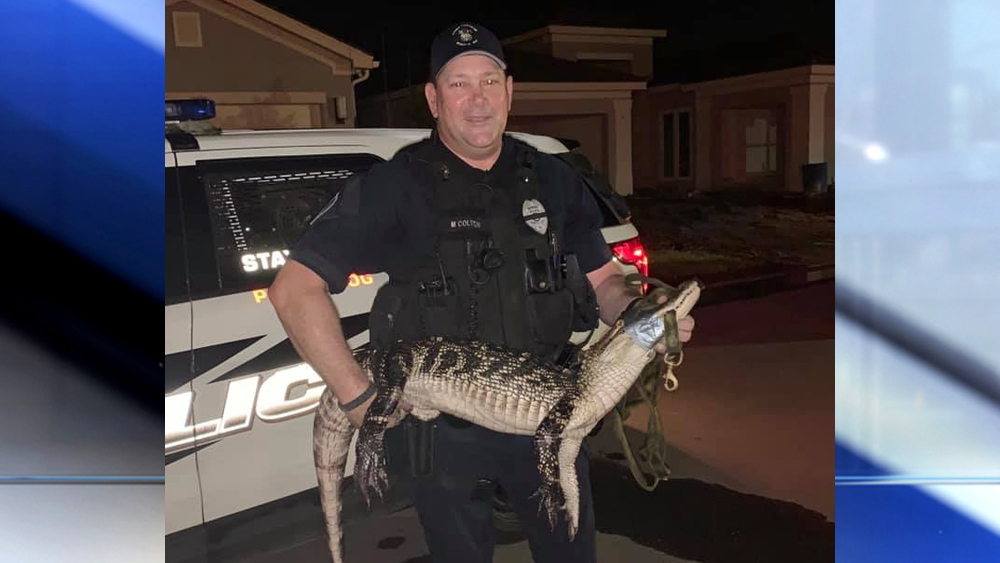WPTV-PSL-GATOR-CAPTURED-1.jpg