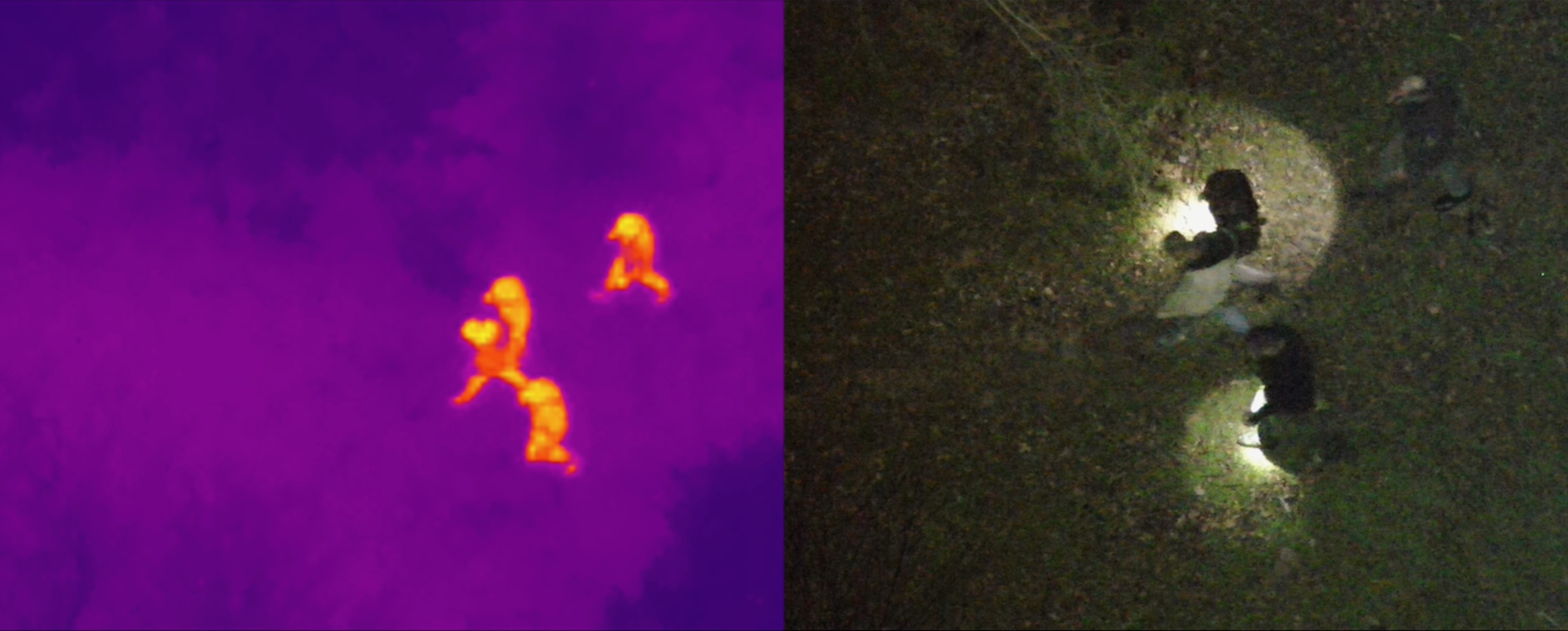 Drone 2.jpeg