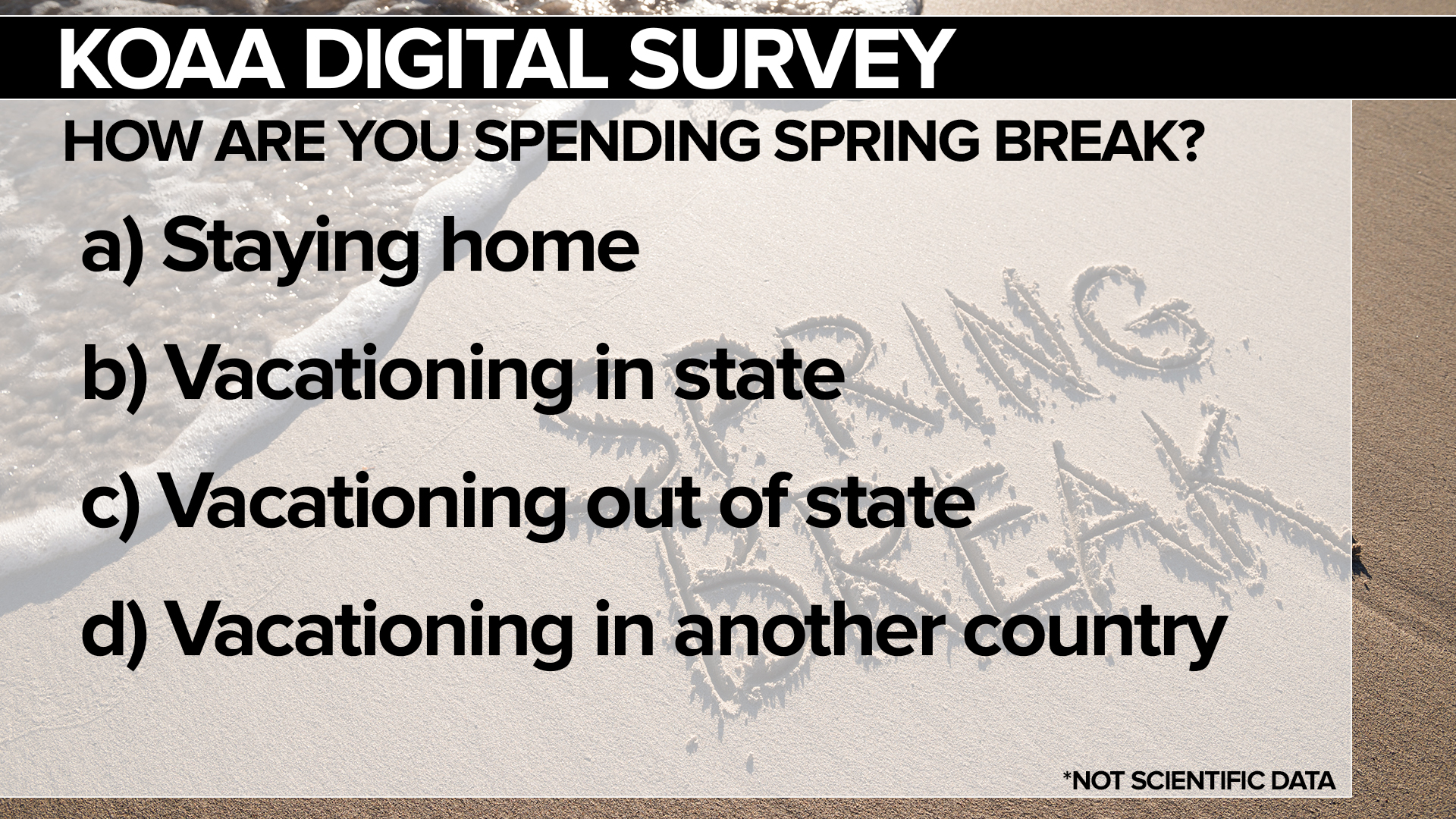 Spring Break Survey