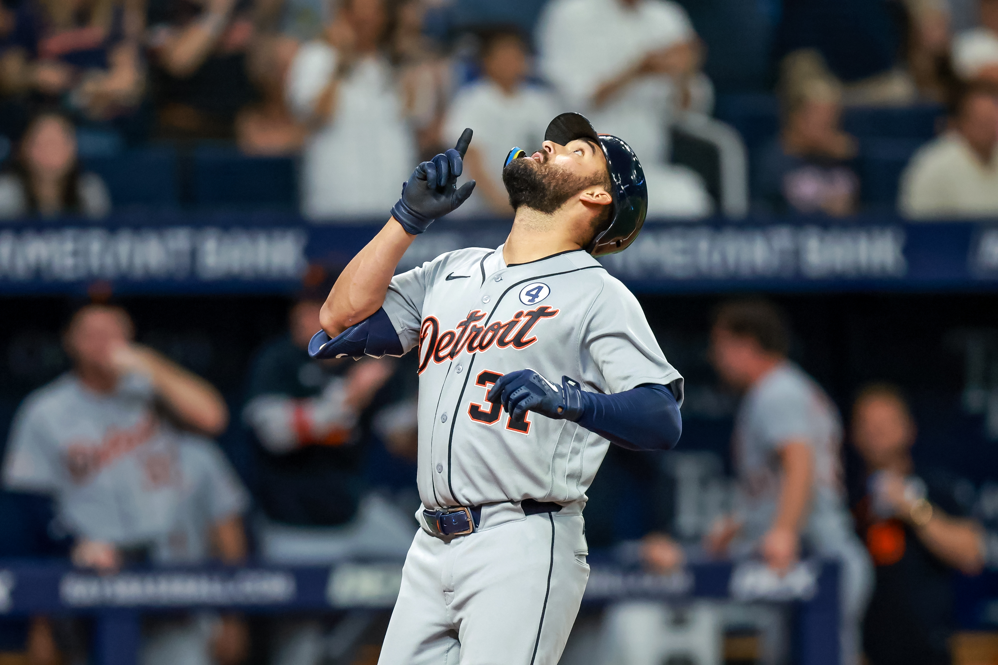 Tigers Rays Baseball